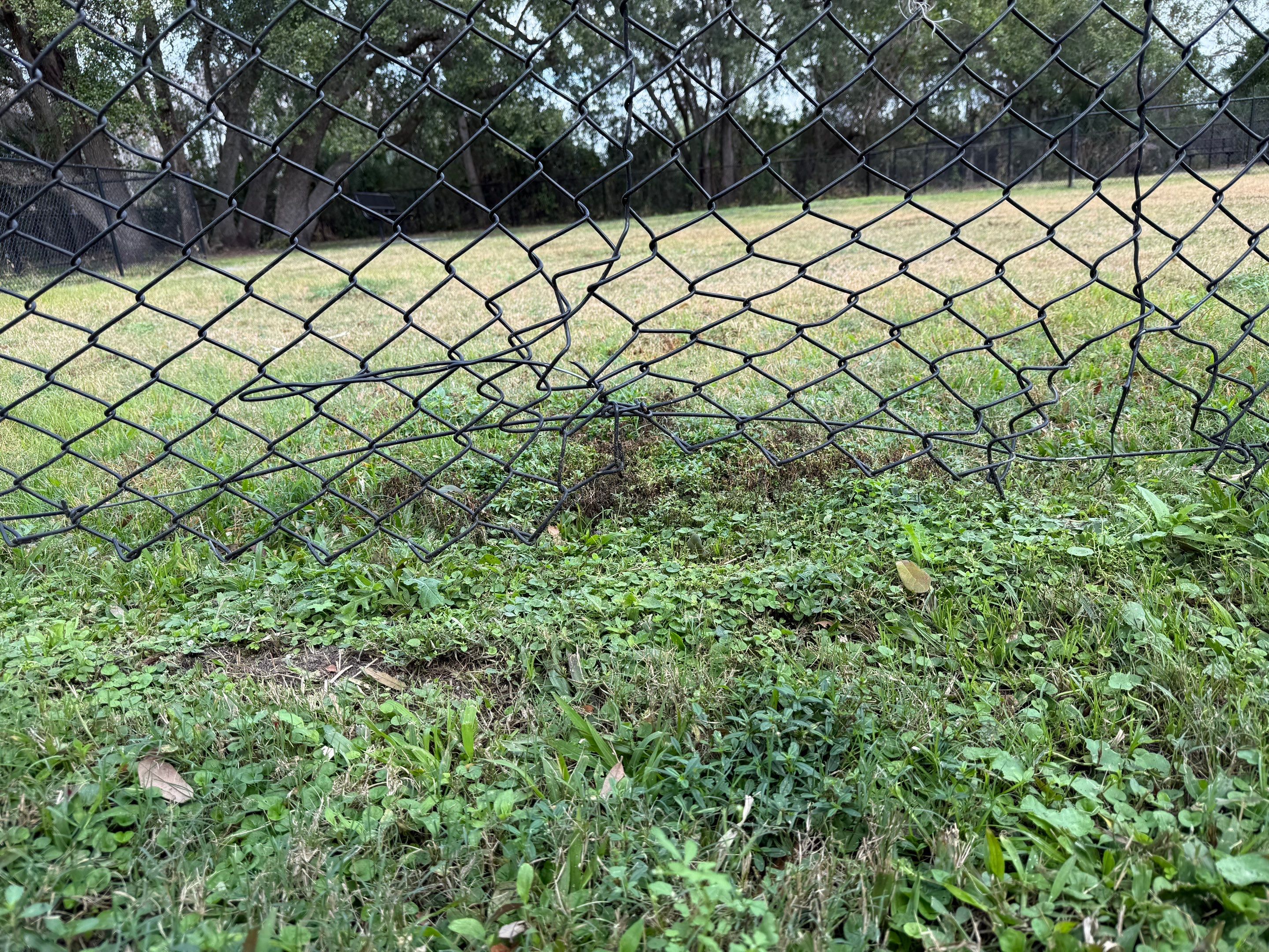 Chain-Link Fence Repair by
M.A.B. Landscaping & Property Maintenance