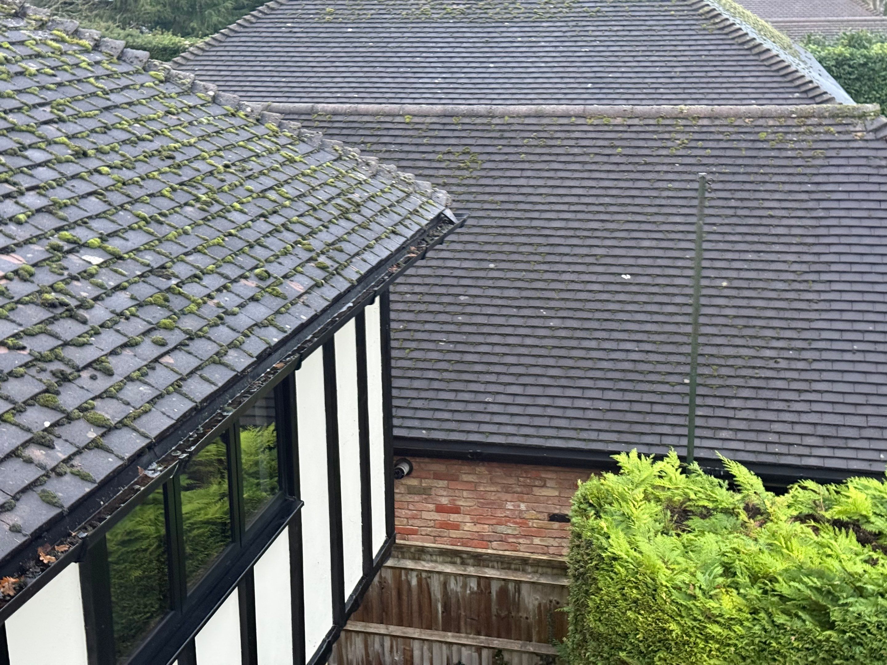 Roof Cleaning Kingswood by Ges Exterior Cleaning ltd