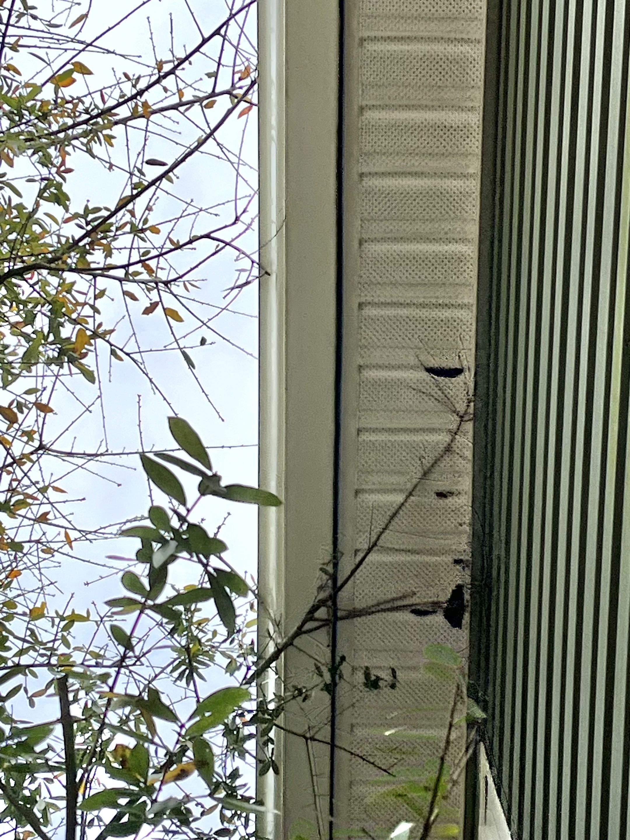 Oak Island Soffit Repair and Exterior Eave Restoration by RGR Construction and Roofing, LLC