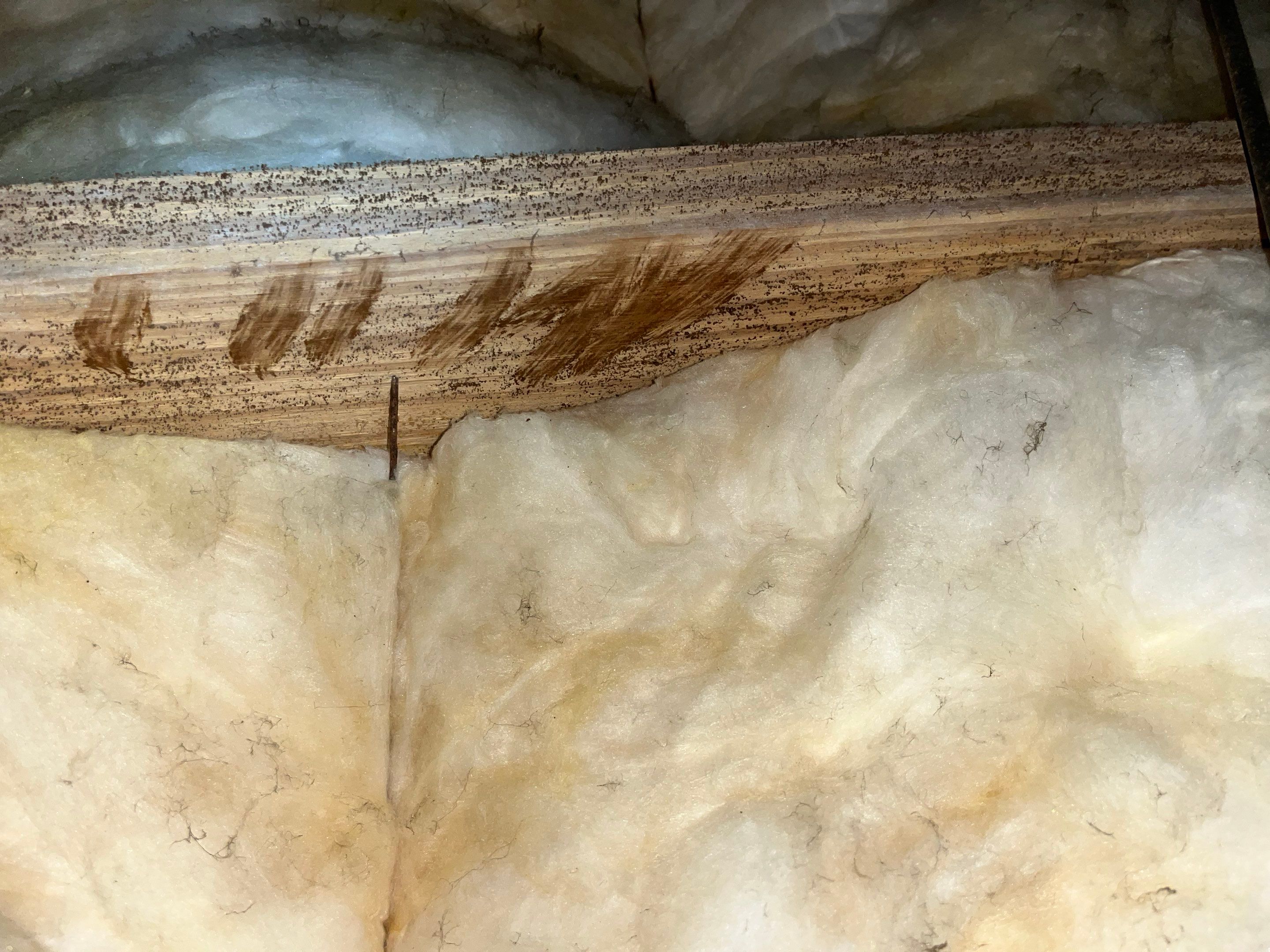 Impact Choice Encapsulation with French Drain, Mold Removal, and Crawlspace Door by Impact Crawlspace
