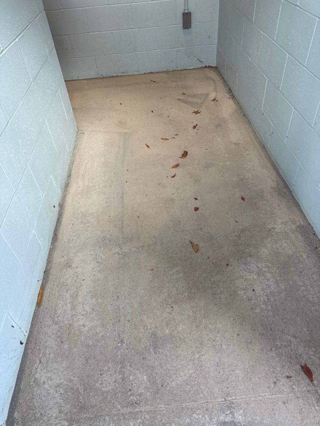 Muni Pool House Project in Crafton  by Floors in a Day, Inc