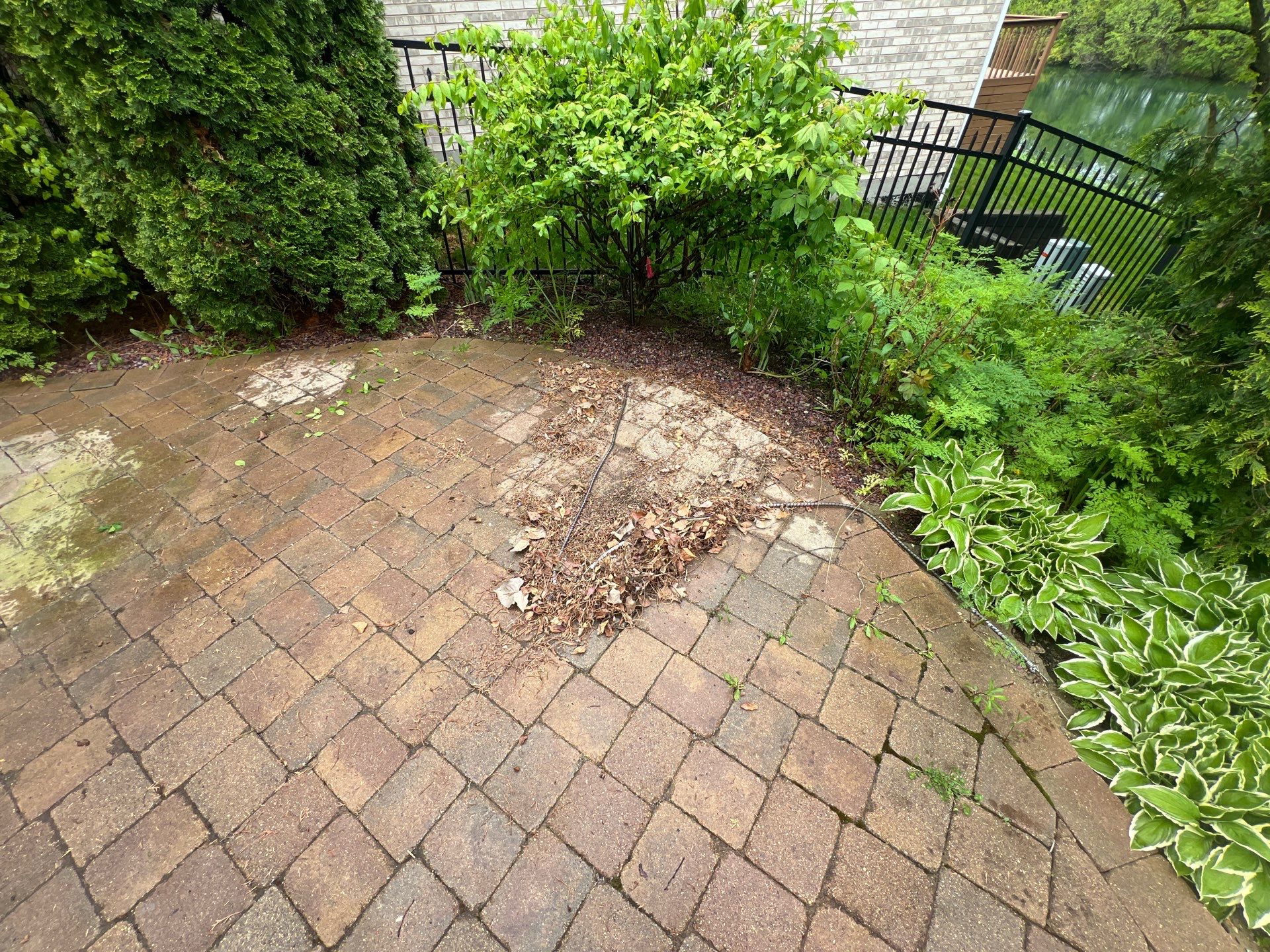 dryvit using Algaecide, soft wash soap by Northern Power Washing LLC.