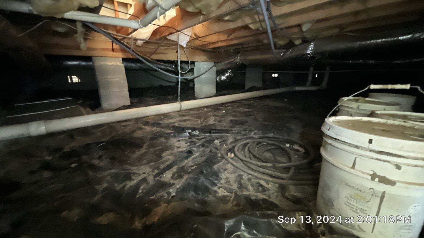 Limited Mold Remediation by EAS Environmental, LLC.