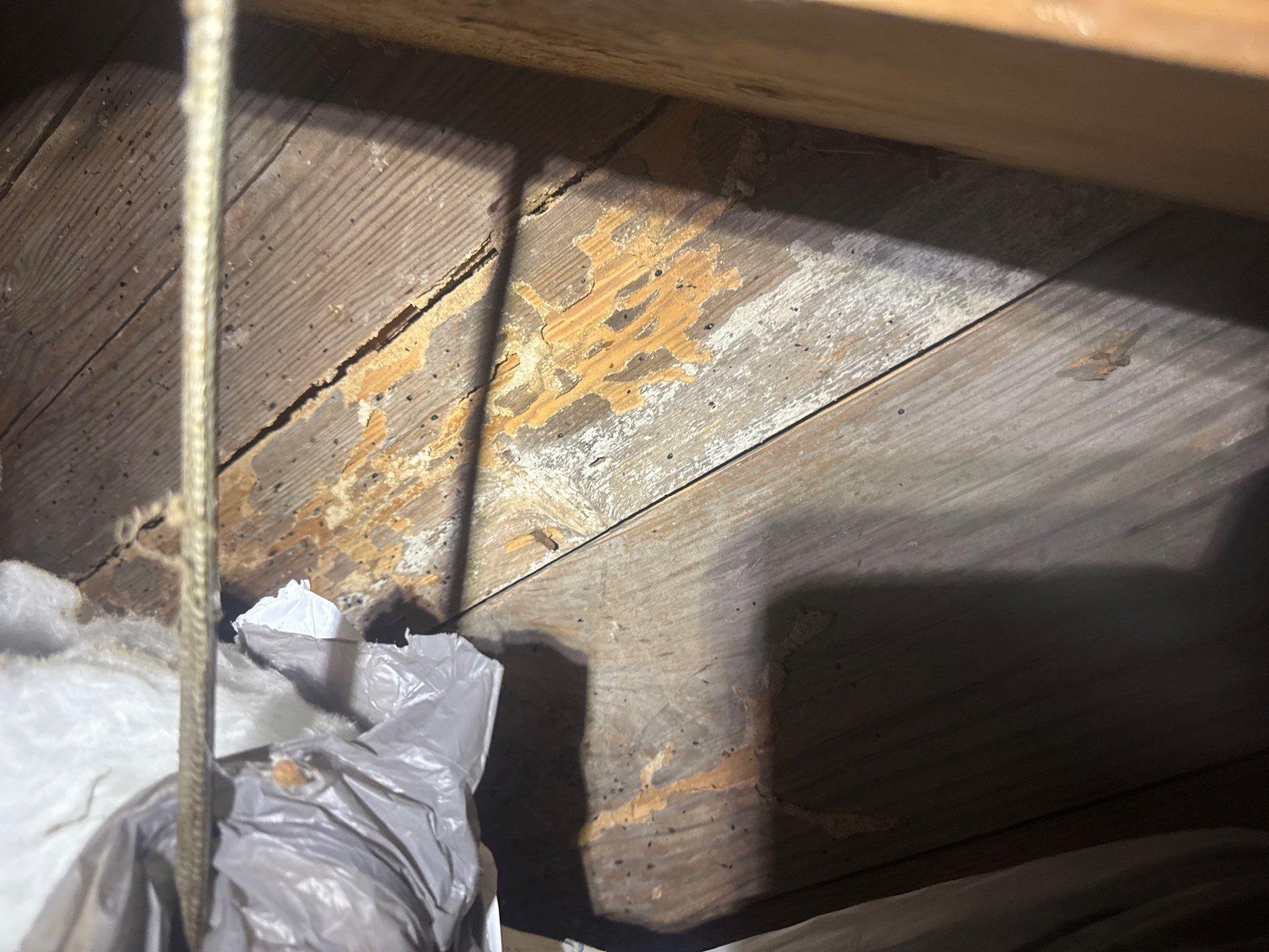 Project in Spring Grove by Patriot Crawl Space Repairs