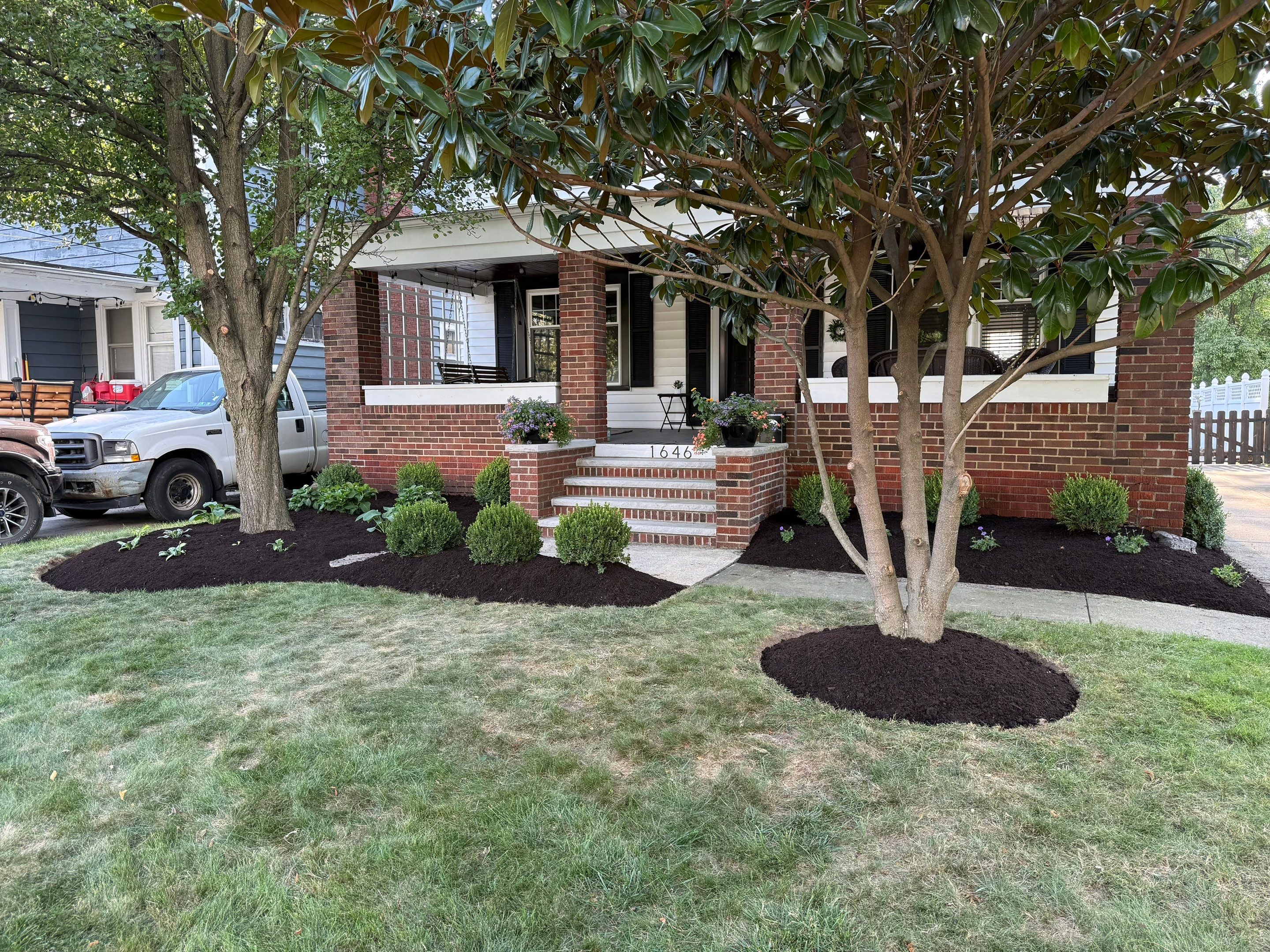 Modern Magnolia Project by Elm Rose Gardens