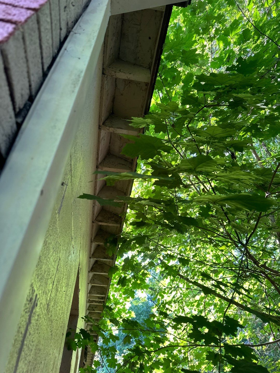 Residential Roofing Installation using Certainteed  by 757 EXTERIORS INC