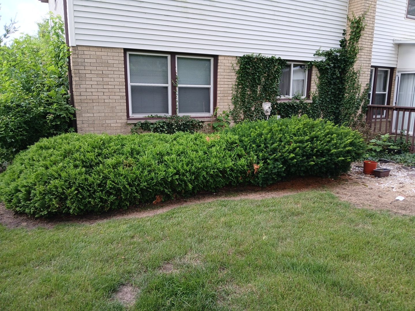 Andrew L. - Arlington Heights, IL by A&N