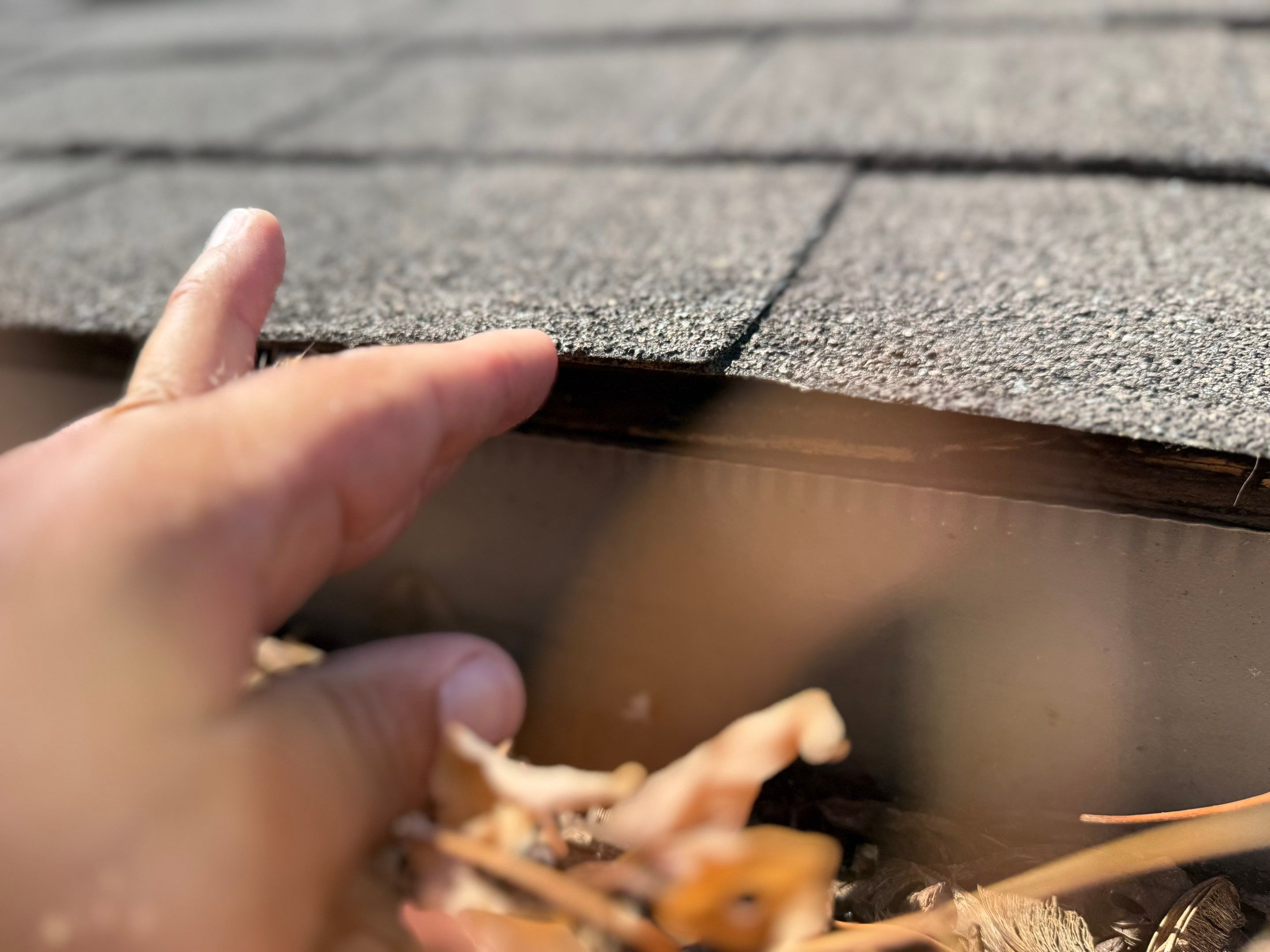 Roof Replacement by 317 Roofing & Restorations