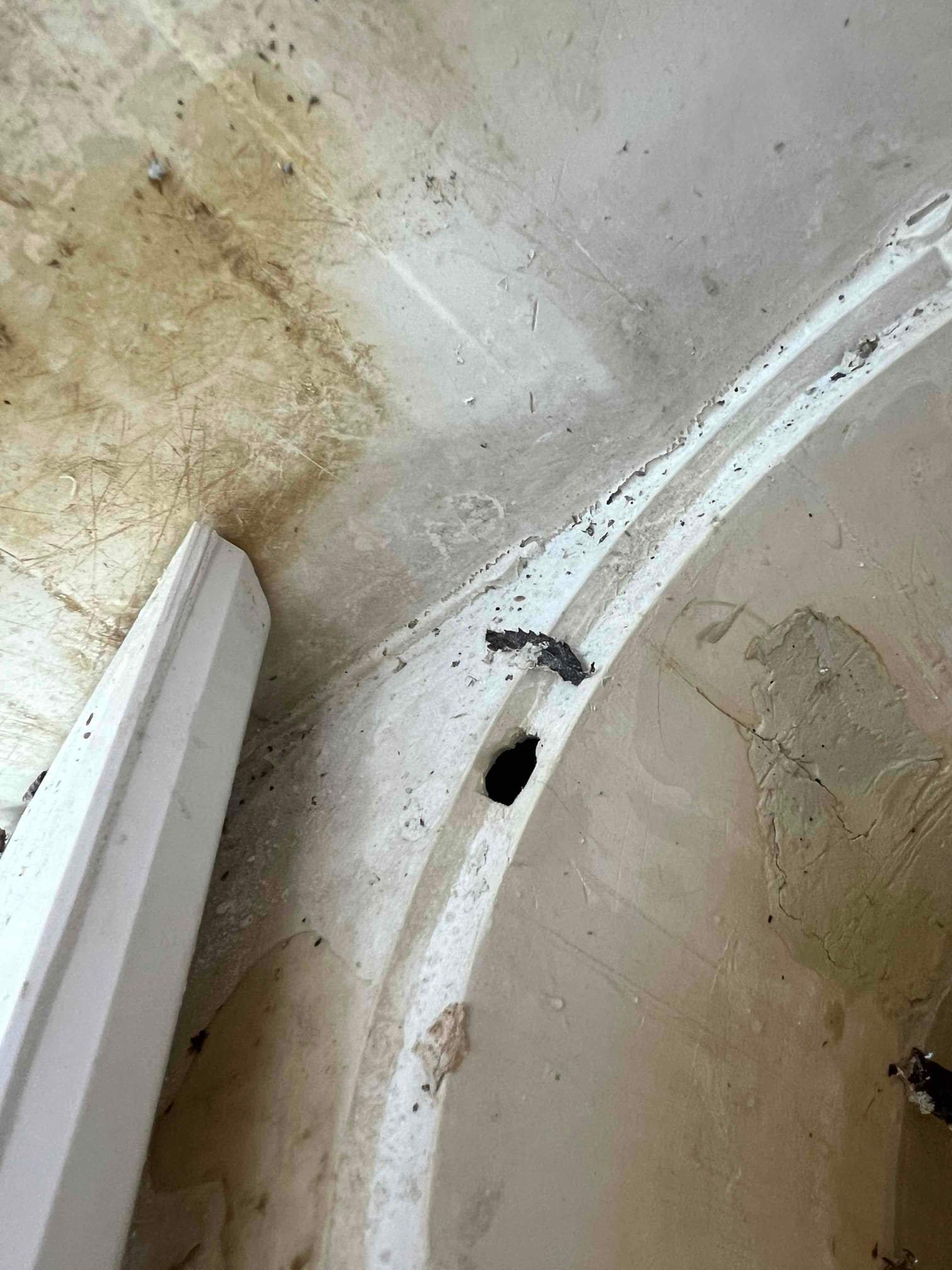 Arlington Skimmer Replacement by Sink or Swim Pools