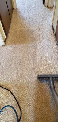 Heavily Soiled, Carpet Cleaning