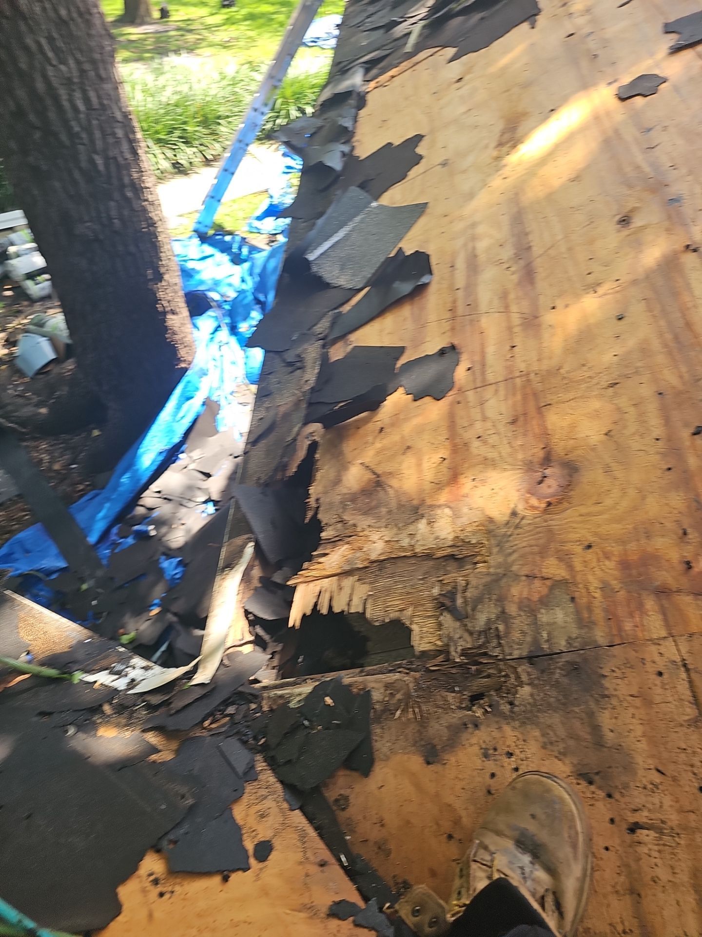 Project in St. Petersburg 33702 by Mitchell Roofing Company LLC 