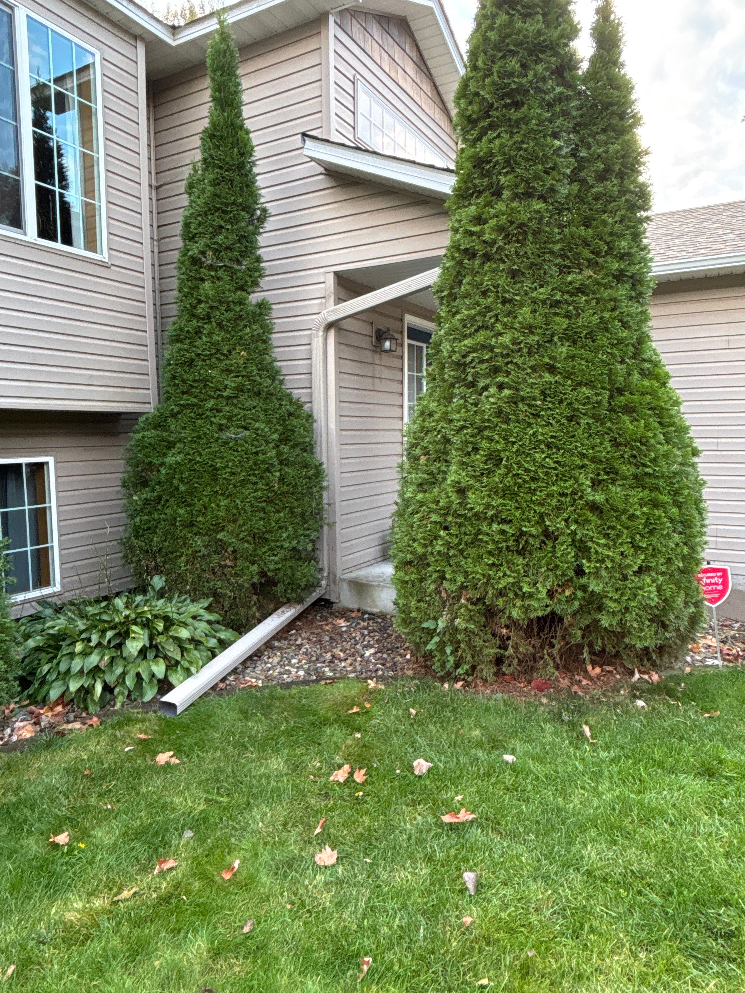 5" White Seamless Gutter Installation with Clay Downspouts – Crystal, MN by Next Level Seamless Gutters / Exteriors Inc.