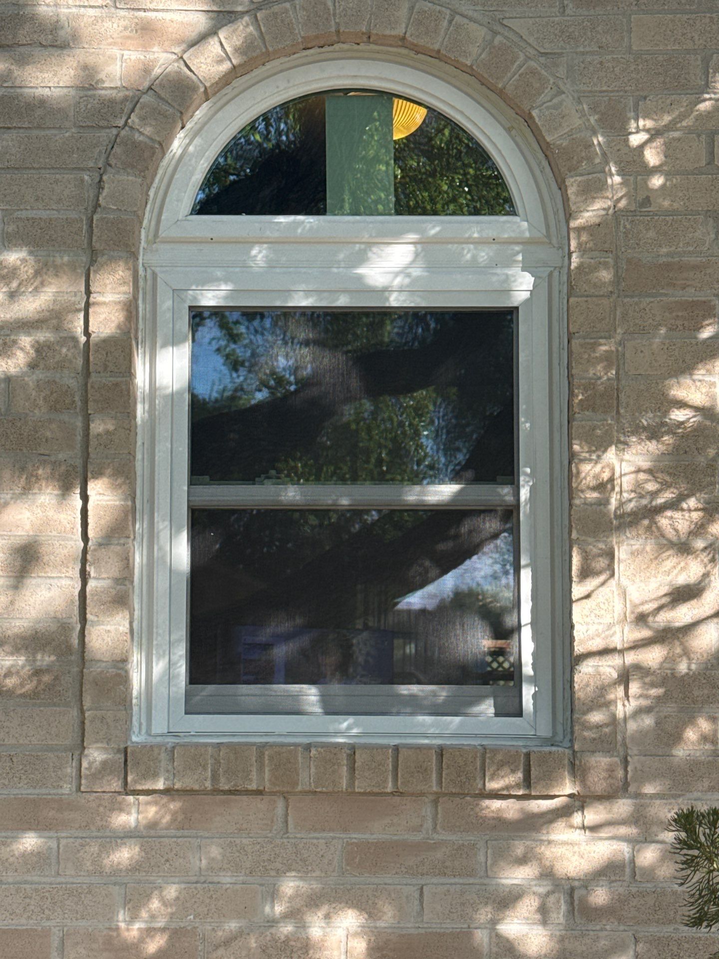 Make that Green, Baby! by Bayfront Roofing and Construction