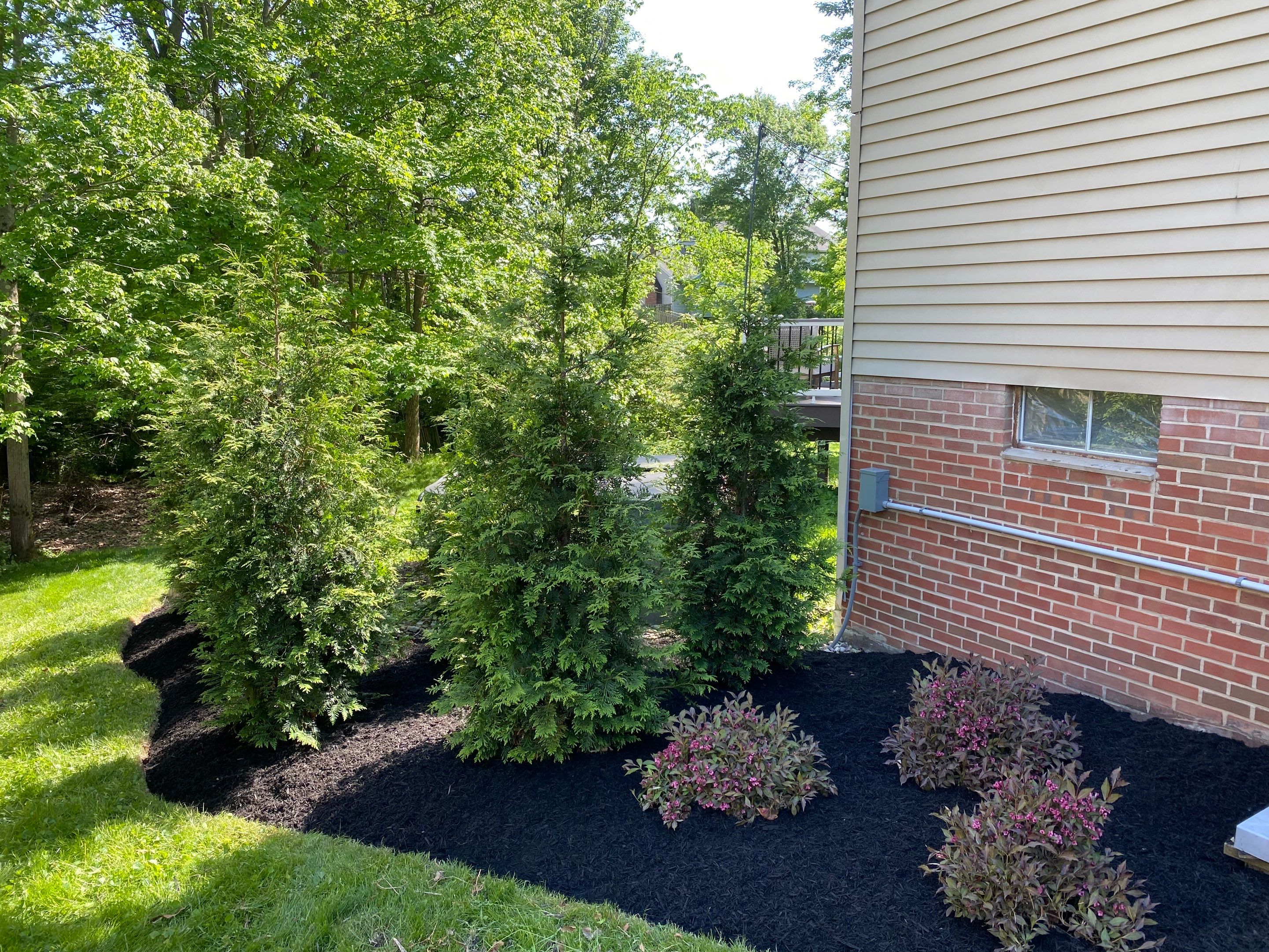 Curved Edge Maintenance by Elm Rose Gardens