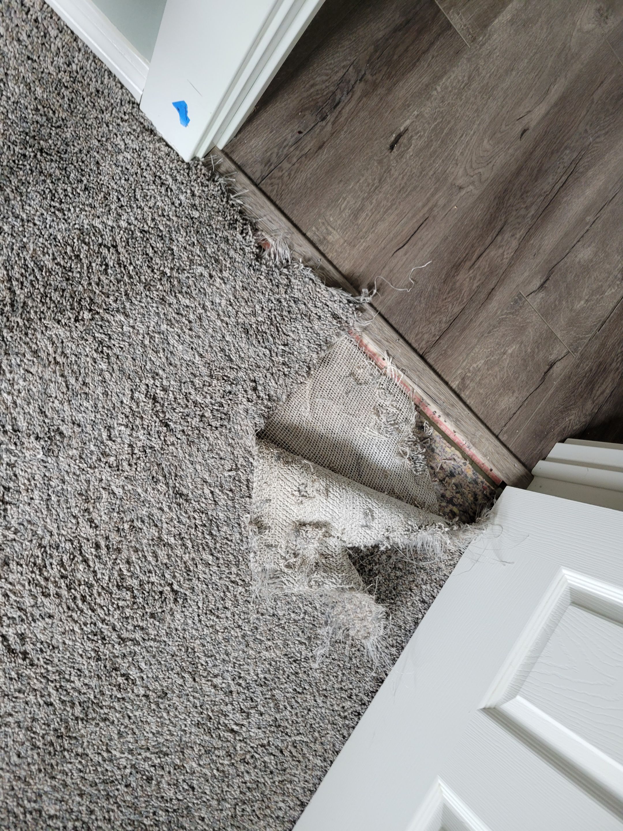 Carpet Repair, Dog Damage in West Sac by Ardent Carpet Restore LLC