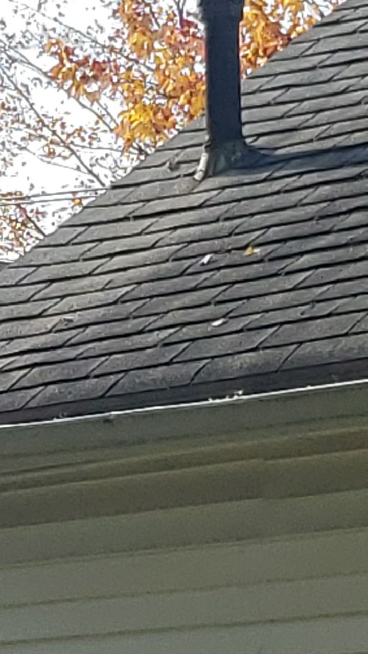 ATLAS PINNACLE SCOTCHGARD COLOR: PEWTER DRIP EDGE: BLACK by Eagle Eye Roofing