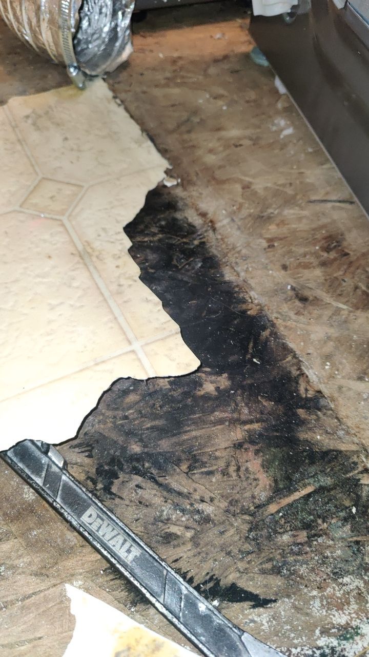 Water Damage  by Accountable Home Services