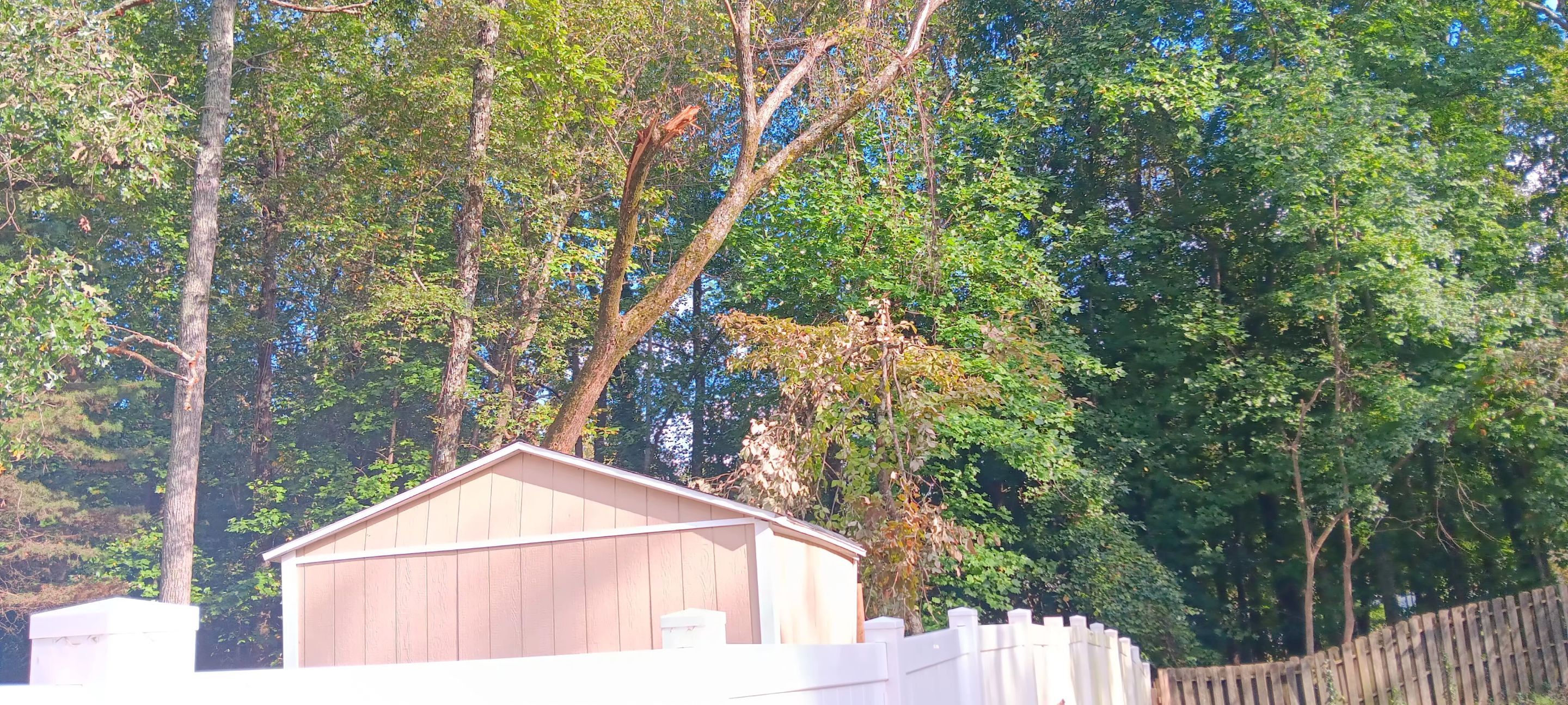 Roof replacement by wind damage and tree felling by Just Brilliant Restoration JBR