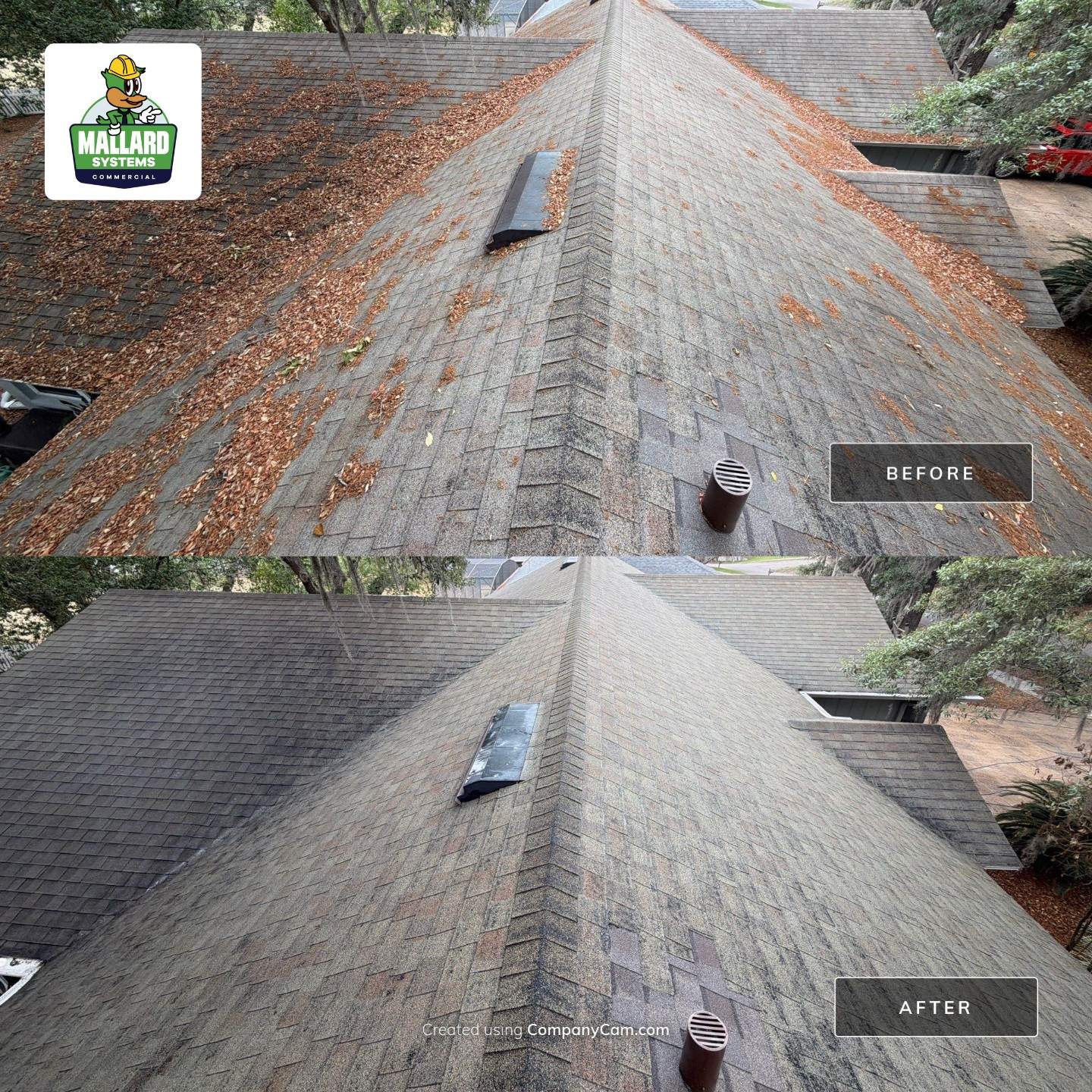 Shingle Roof Cleaning and Roof Debris Removal by Mallard Systems