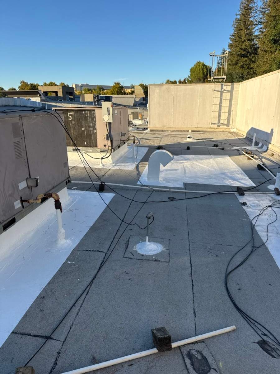 Project in Roseville by Sanchez Single Ply Roofing