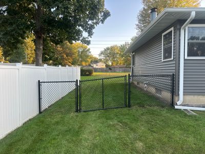 Project in Waterloo