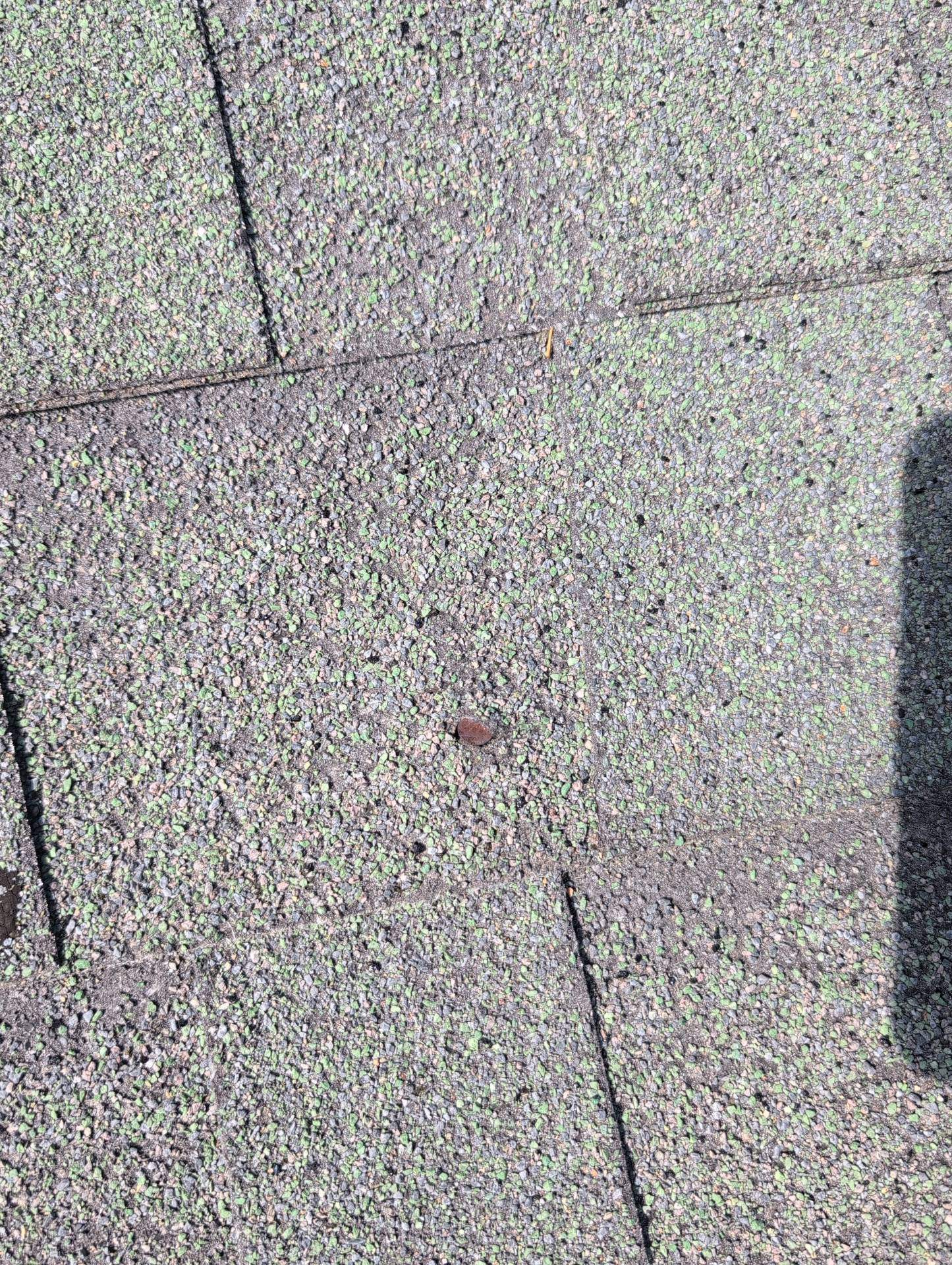 Roof Replacement & Seamless Gutters in Cape Fair by Table Rock Design + Build