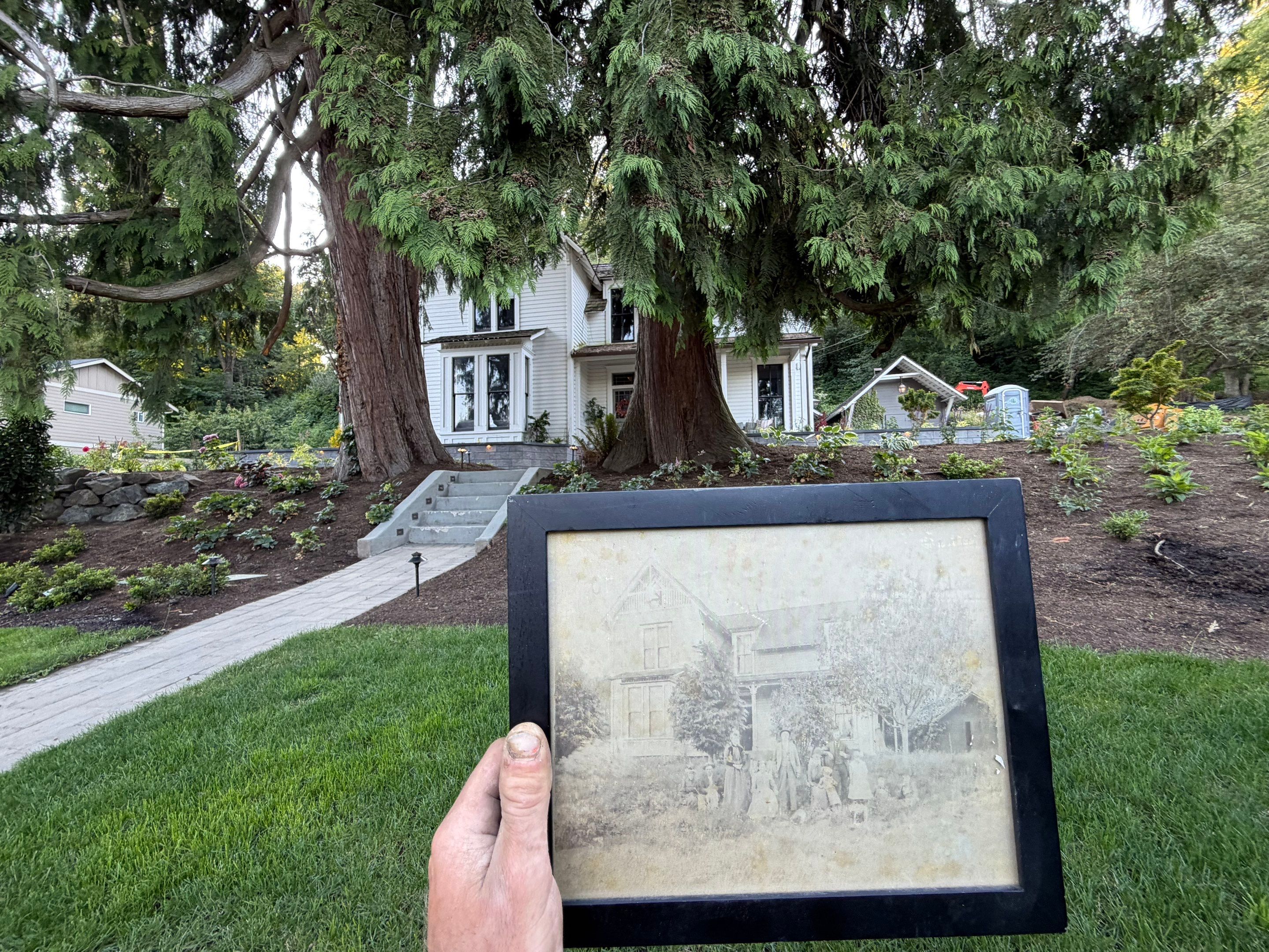 Maple Ave Renovation by Pacific Pine Landscape