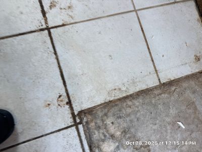 Storm & Hurricane Damage — Naples, FL