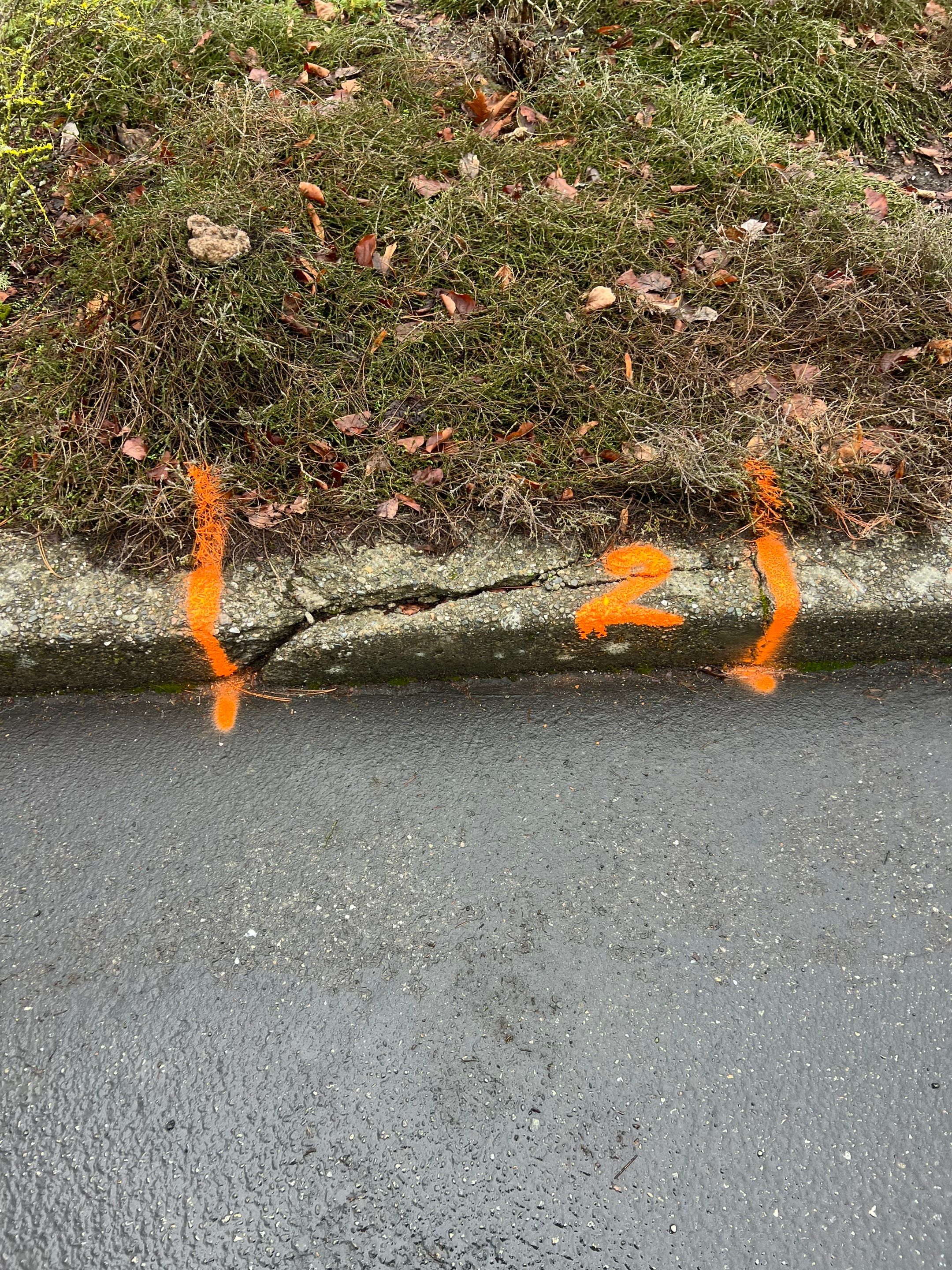 Amanda | Concrete Curb by Jireh Asphalt & Concrete Inc 