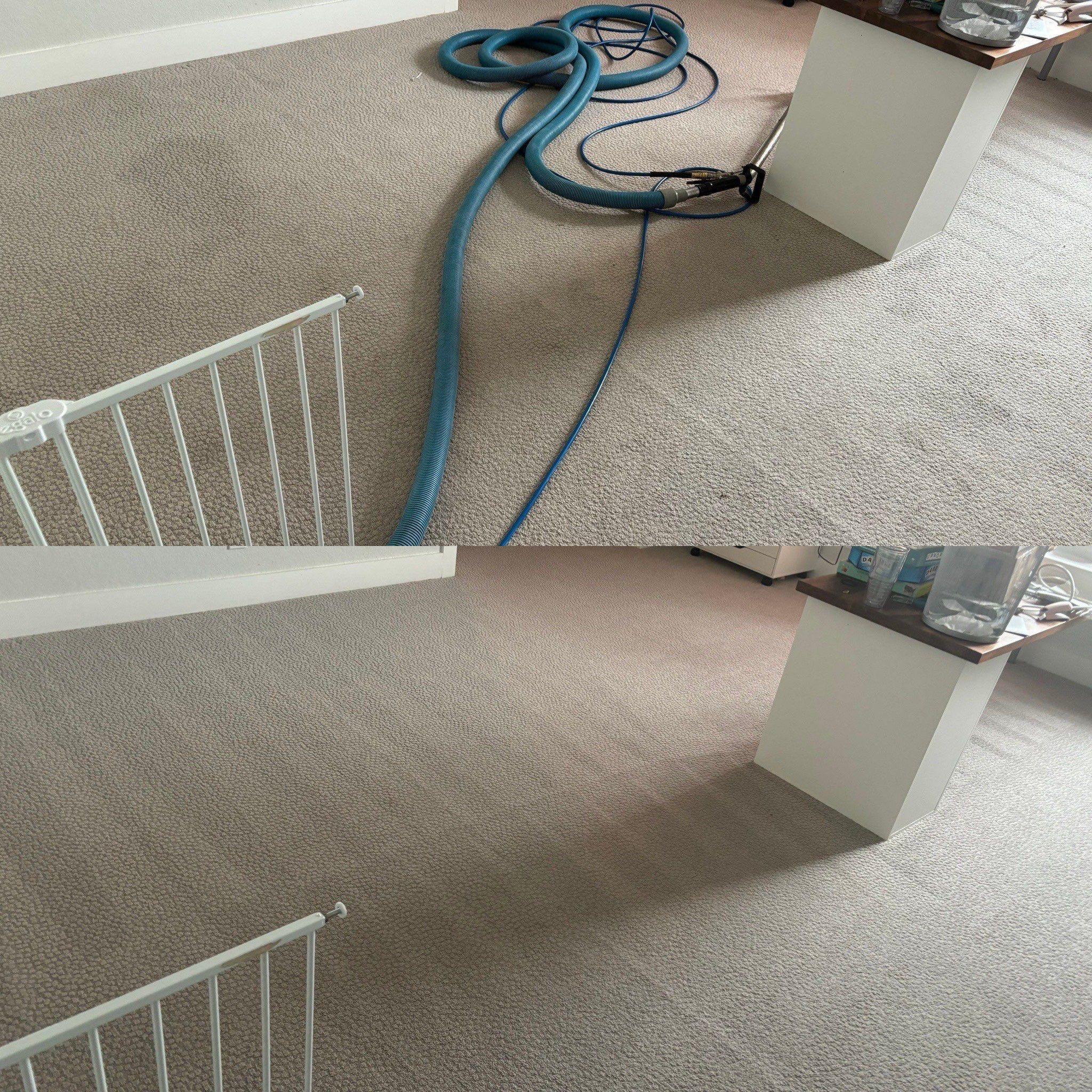 the carpet is being cleaned with a professional machine removing dirt and stains for a fresh appearance