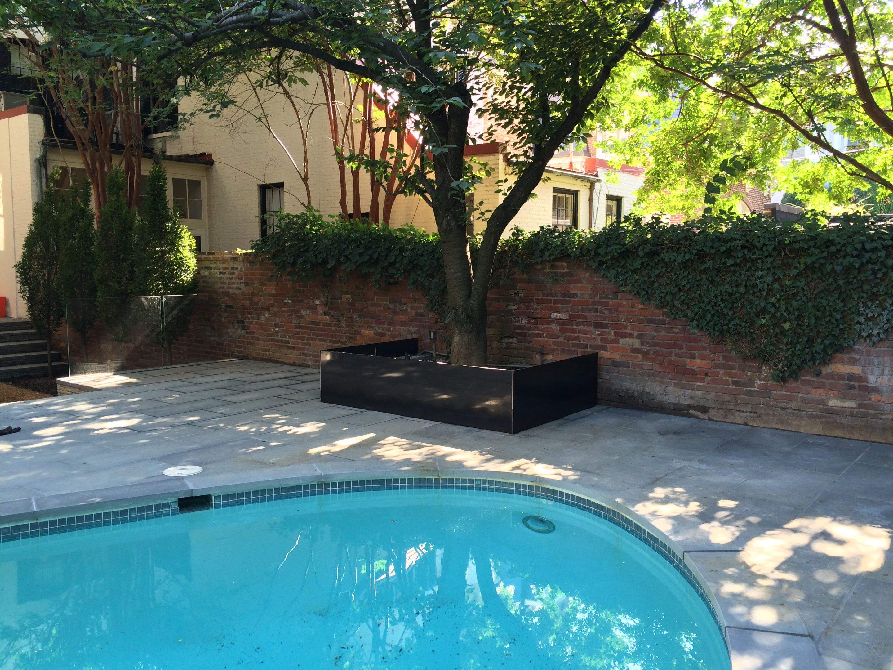 Custom Steel Tree Boxes & Planters – Urban Landscaping – Washington, DC by Capitol Iron Works