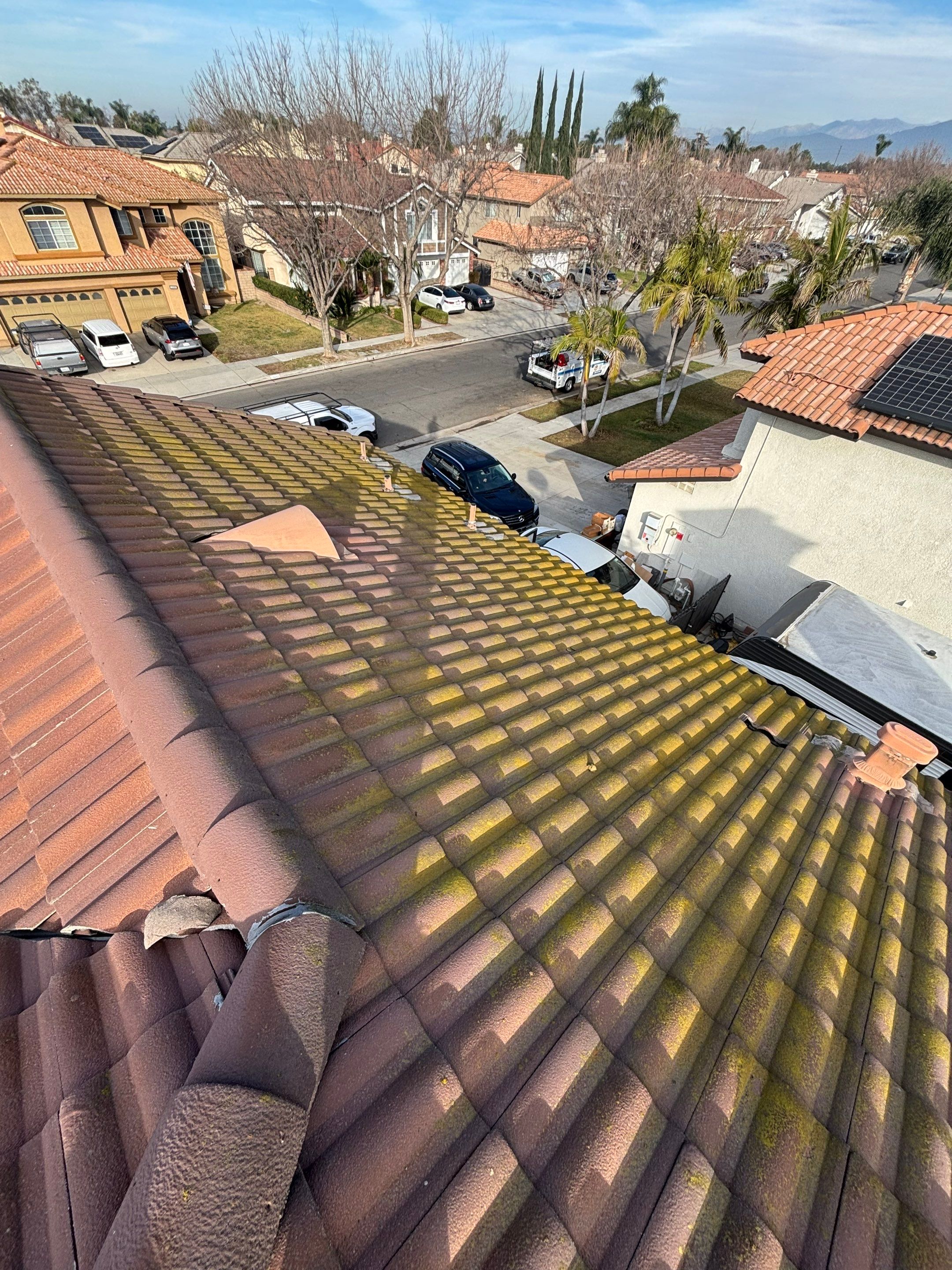 Roof Cleaning LIBERTY MUTUAL by Pirate Pete’s Power Washing