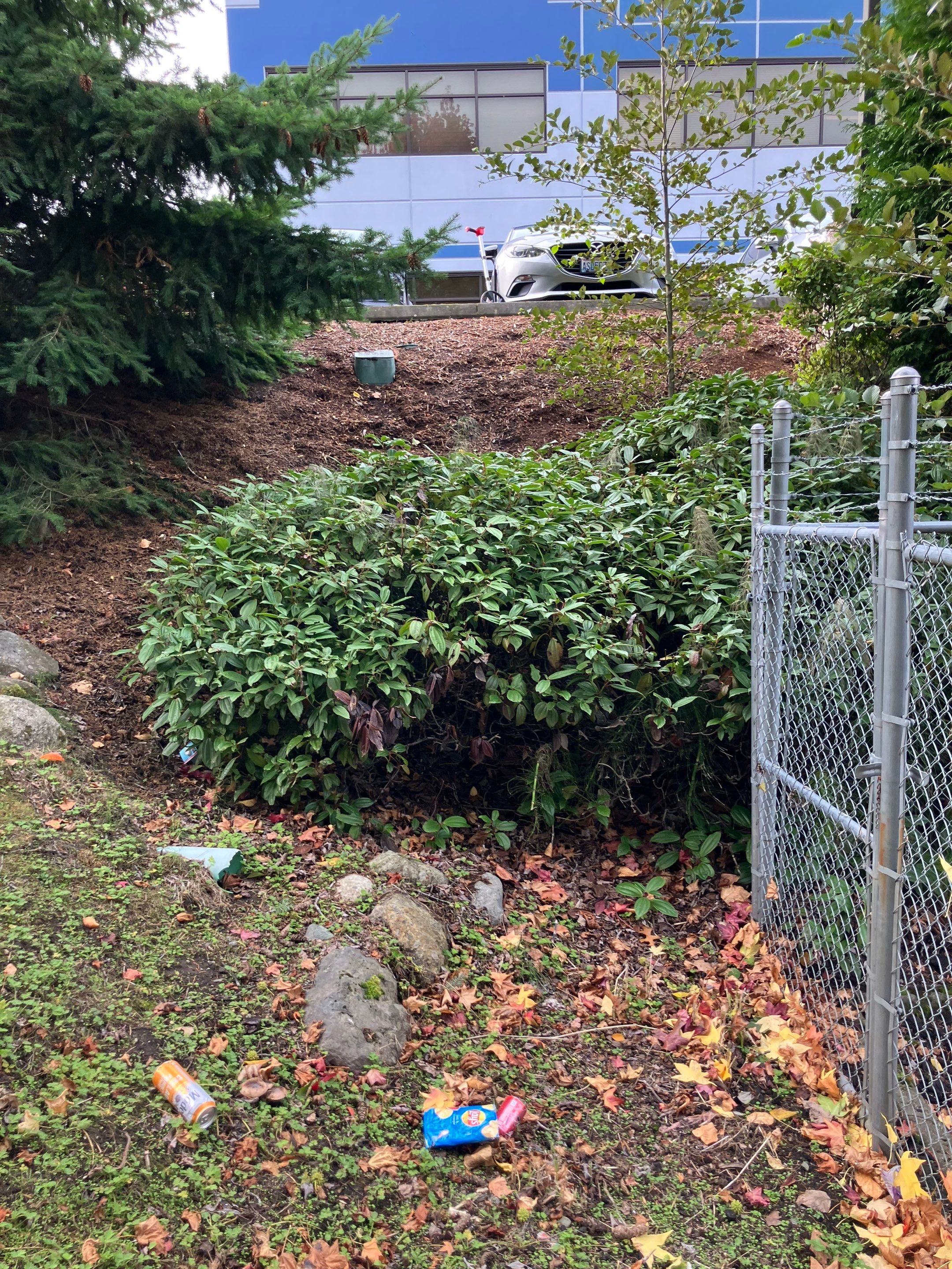 Access Laser Company/Commercial  by Jireh Asphalt & Concrete Inc 