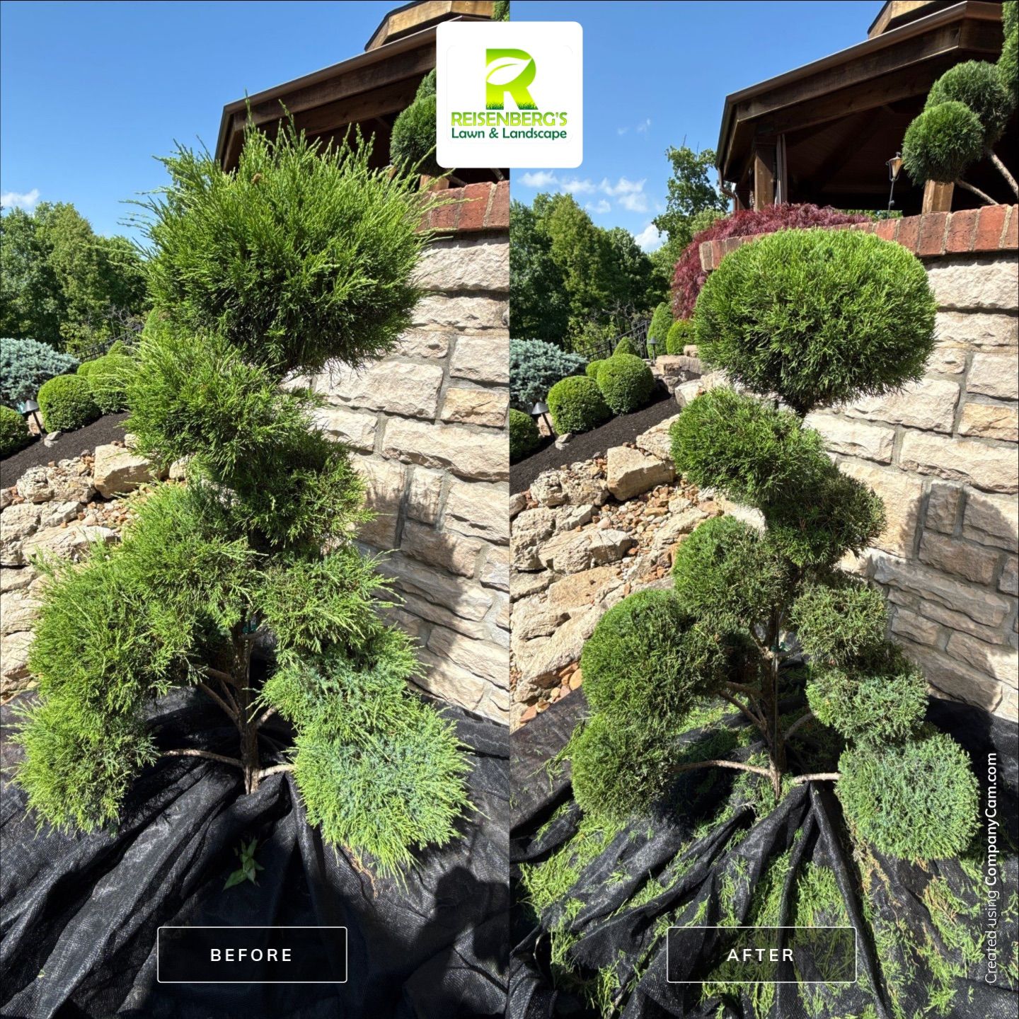 Spring Clean-up, Prune, Edge & Mulch by Reisenberg’s Lawn & Landscape, LLC