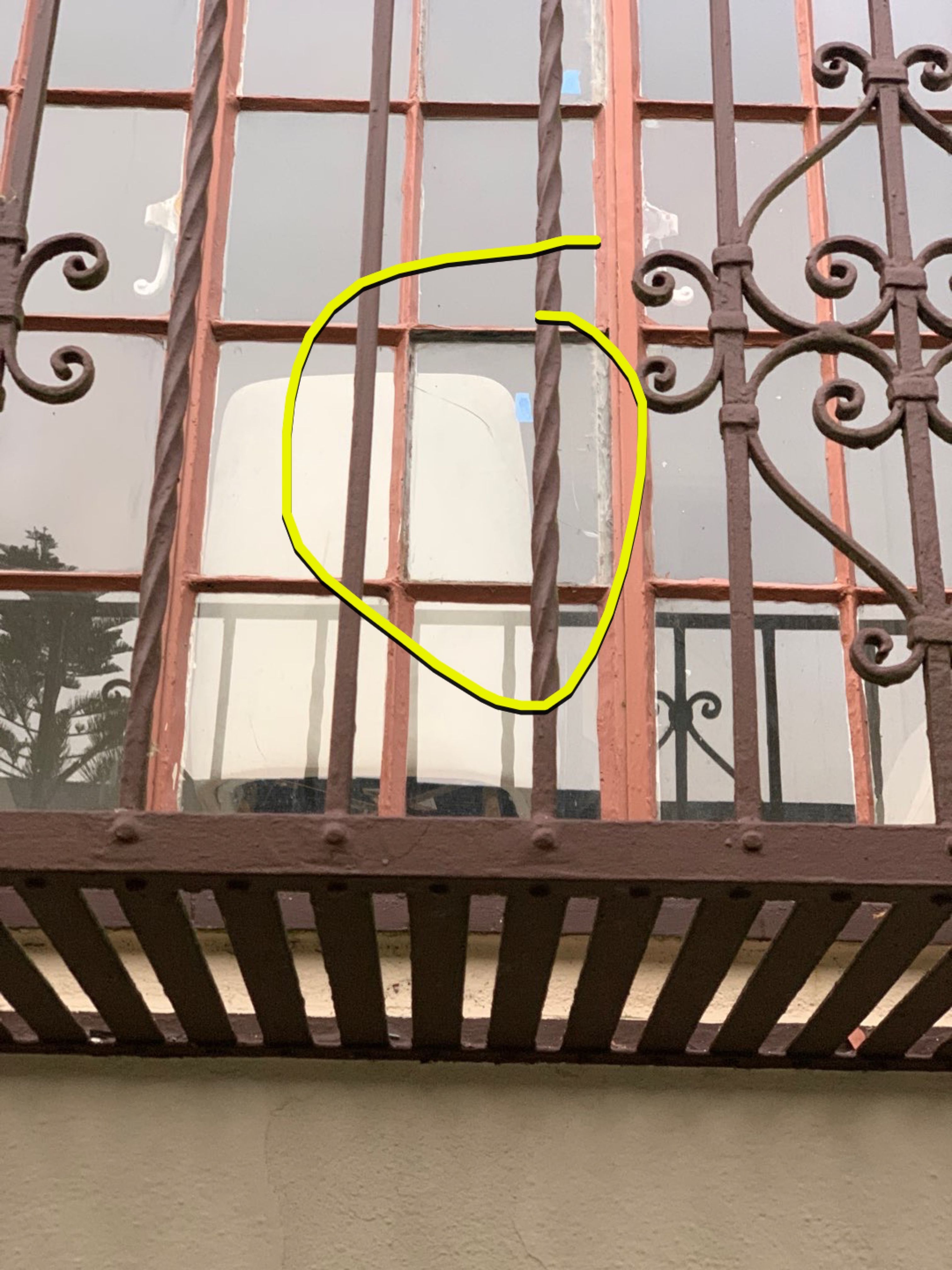 Priscilla Rodrigues by SpotFree Window Cleaning