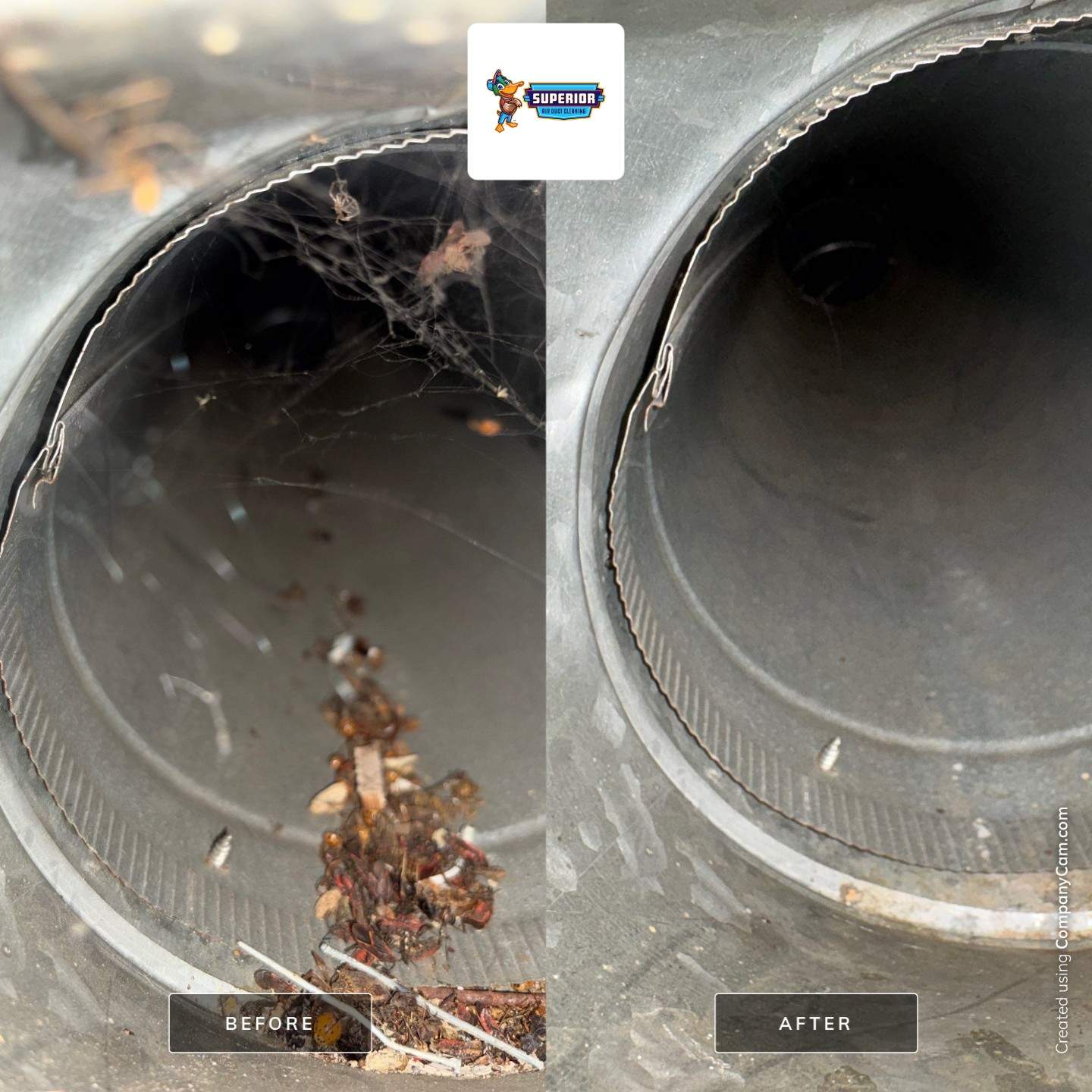 Comprehensive Air Duct and Furnace Cleaning in Enon Valley, PA by Superior Air Duct Cleaning