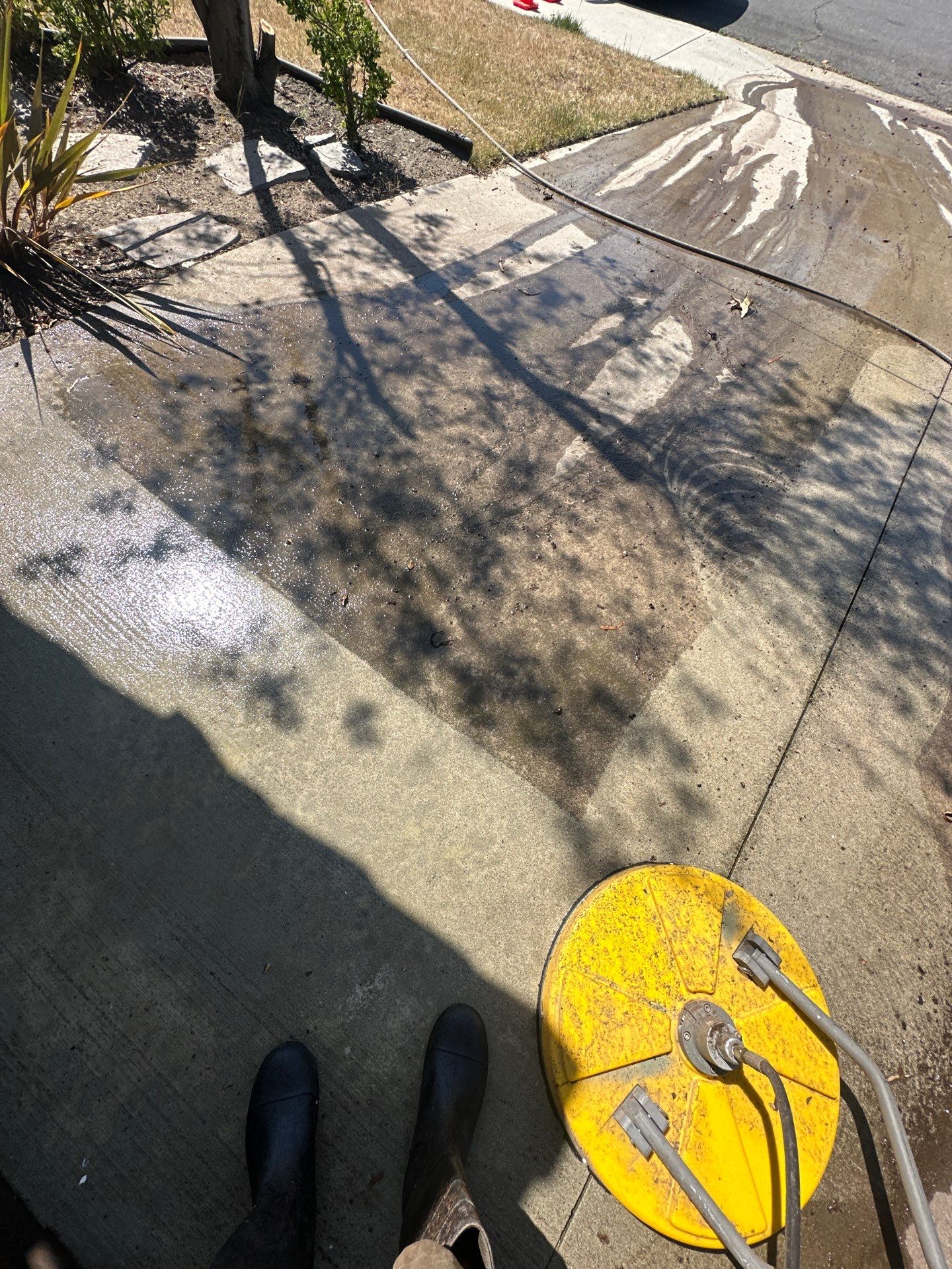 Orange County Roof Washing in Lake Forest by Property Cleaning Experts, LLC