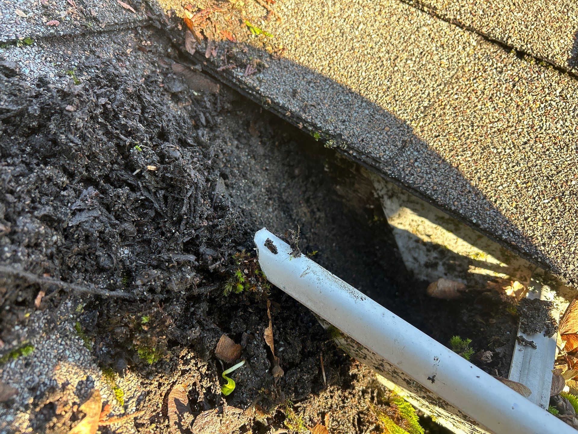 Project in Mount Vernon by Connolly Construction Company