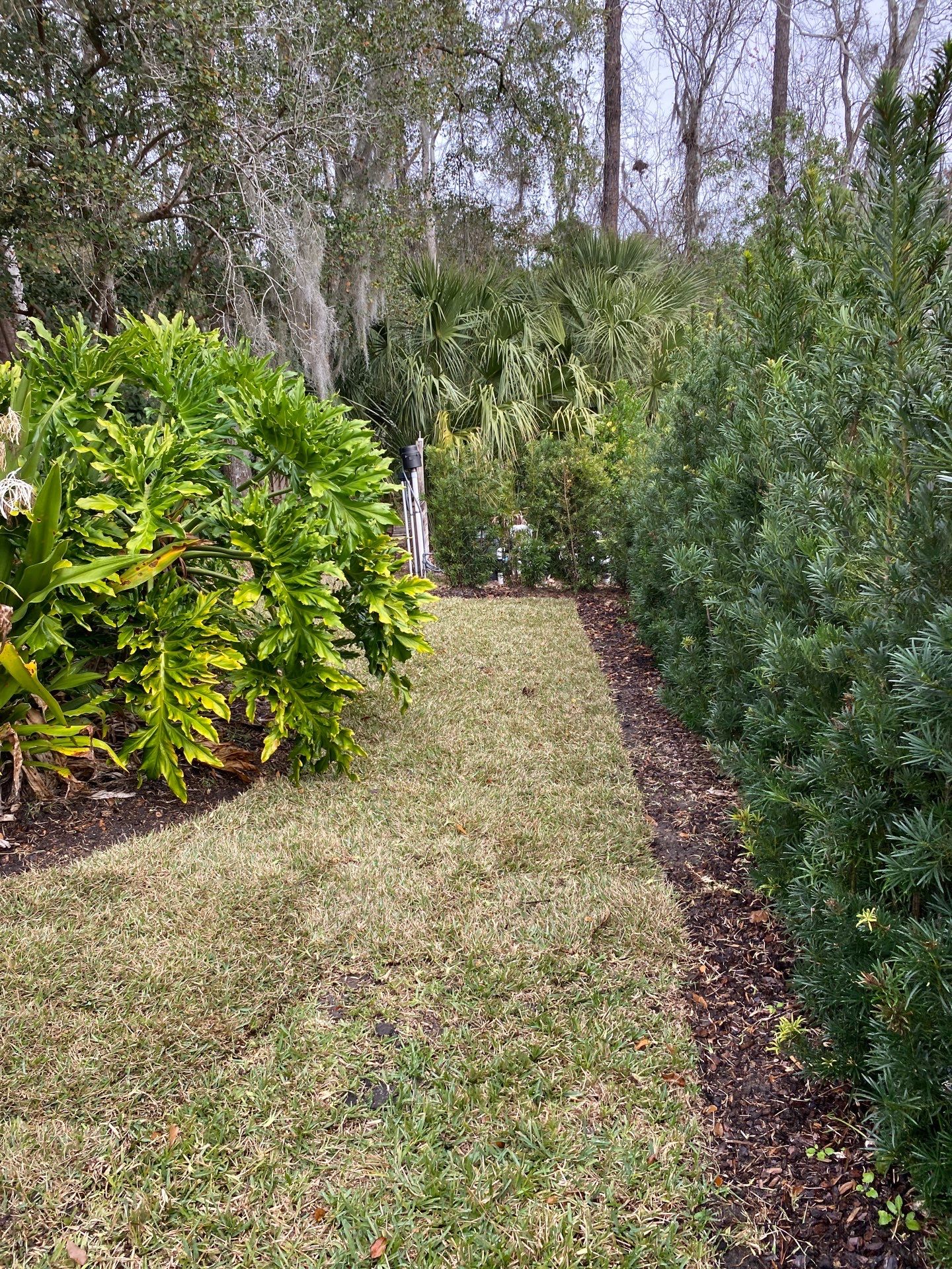 Deerwood Resident | Freshen Up Project by ProGreen Services