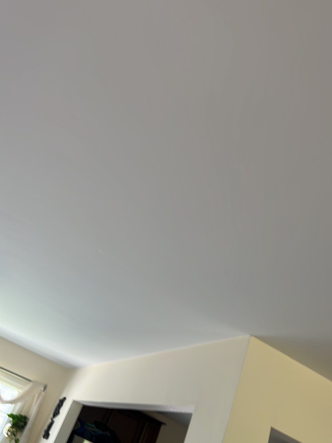 Springfield Tree Damage Restoration: CertainTeed Landmark Designer Shingles in Charcoal Black by RM Banning, Inc.