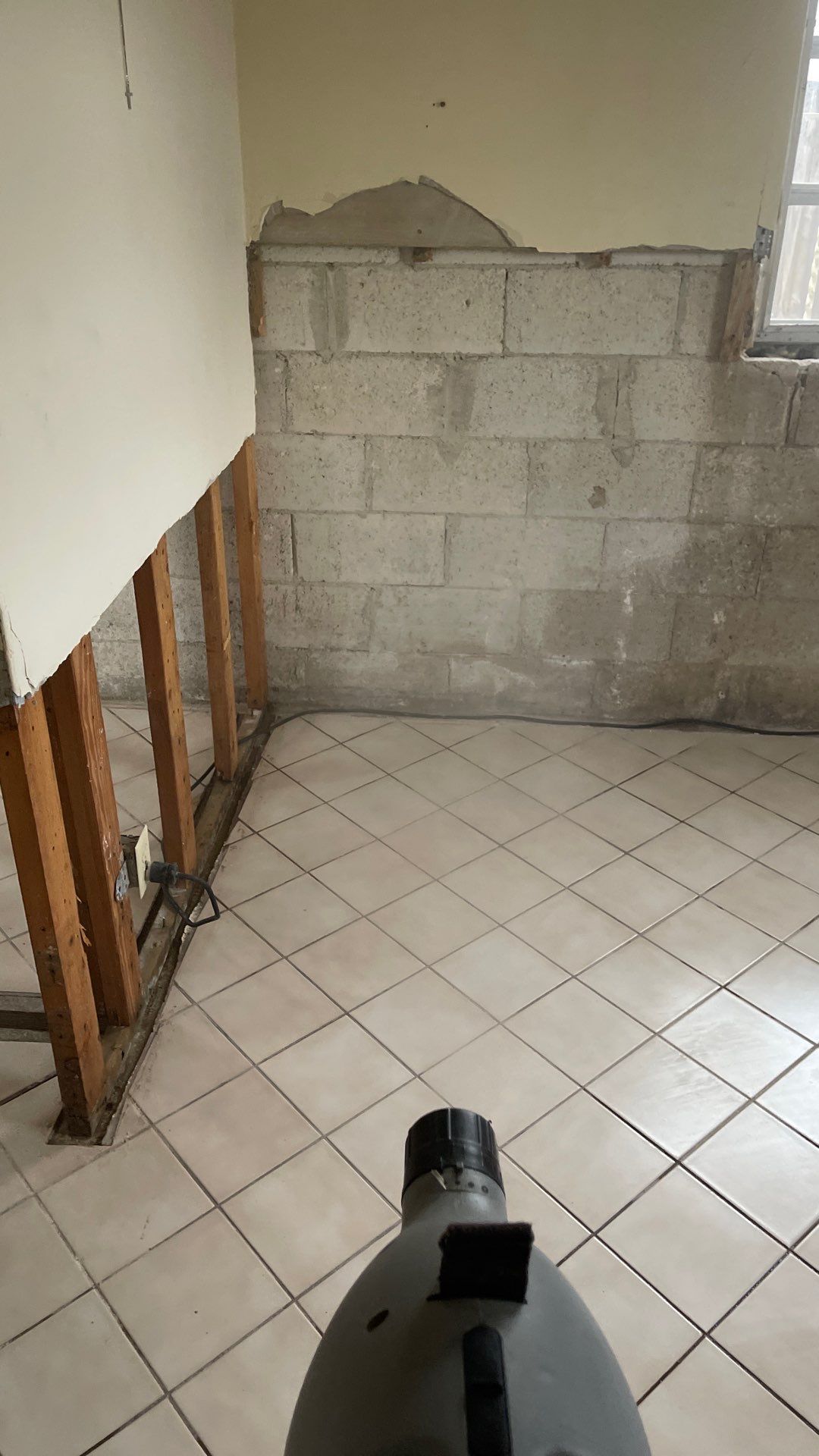 Mold Remediation  by THE RAPID TEAM