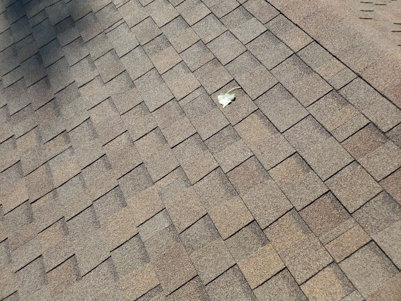 It all started with hail.  by Weather-Tite Exteriors LLC