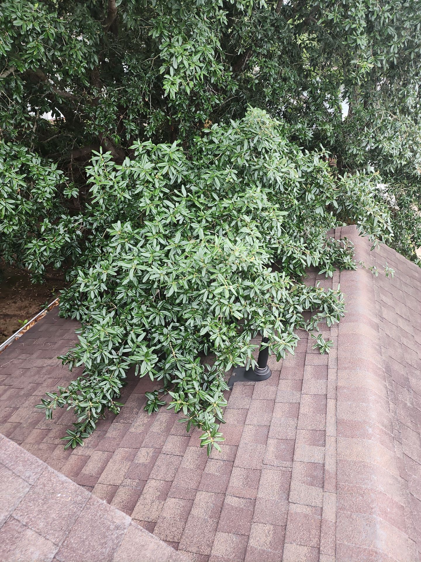 Residential Roofing Installation using Owen's Corning Duration (Lifetime) Shingles by Roof Repair Company