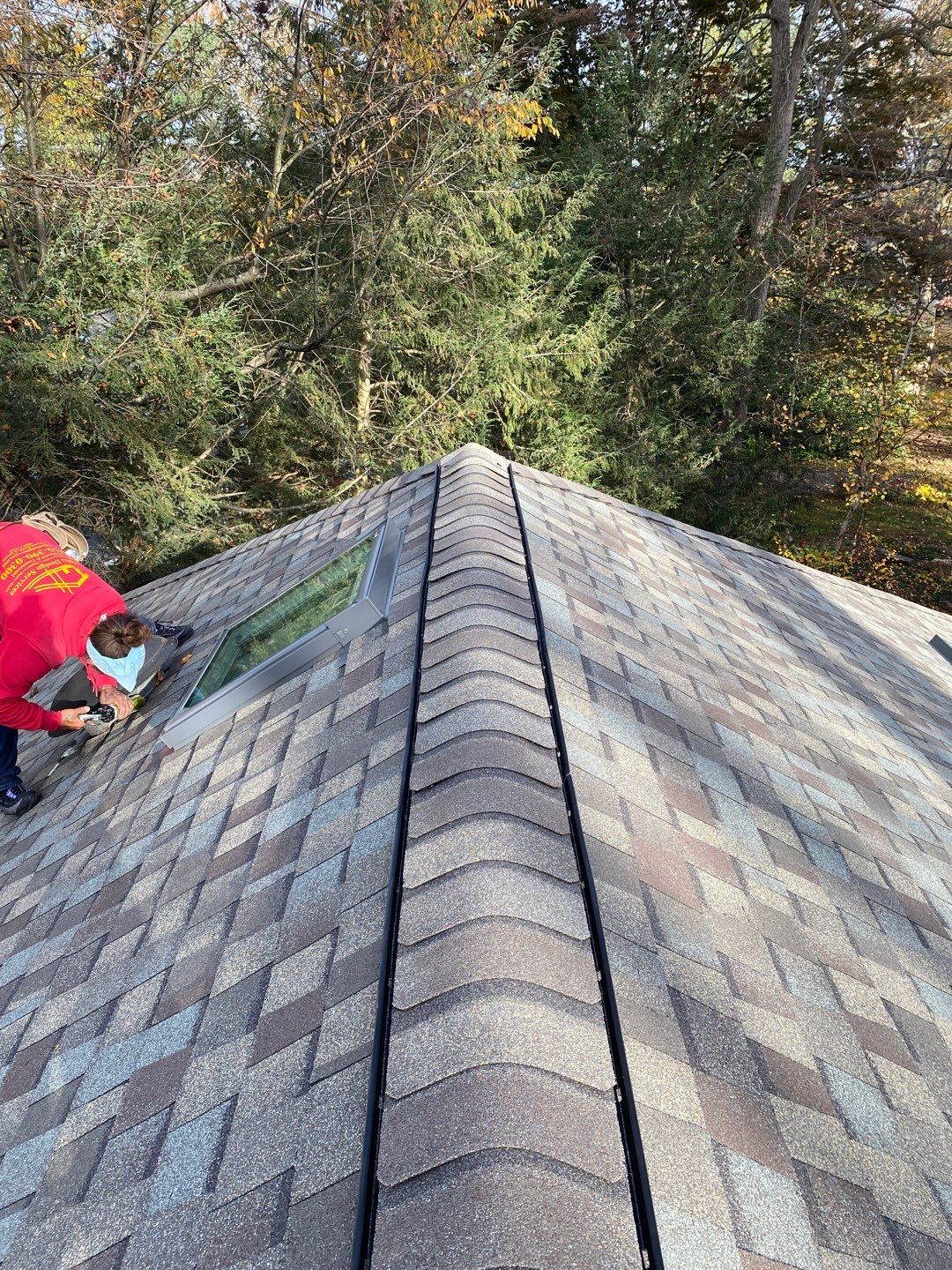 Install new shingles and new skylights  by Alpha Design Services
