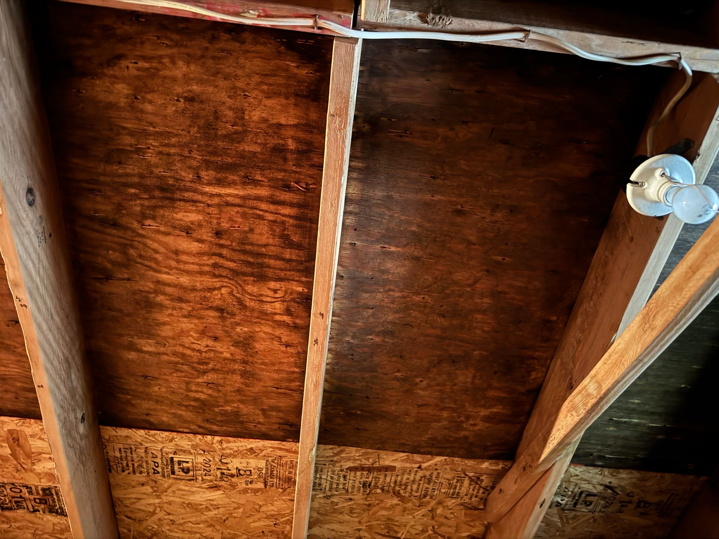 Attic Mold Remediation by Home Guarantee, LLC