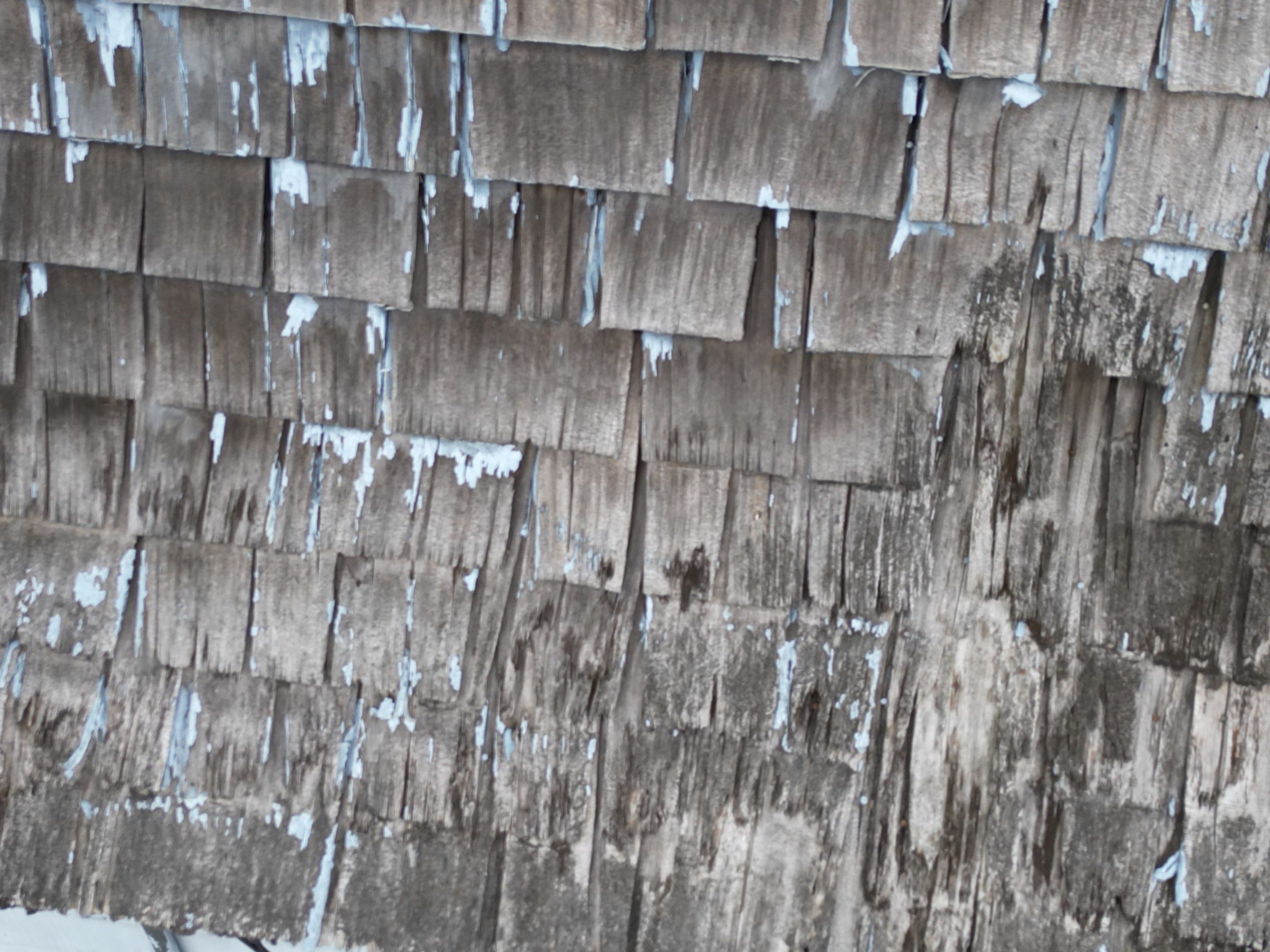 Transformation with CertainTeed Cedar Siding | Methuen by Mighty Dog Roofing of Greater Middlesex County