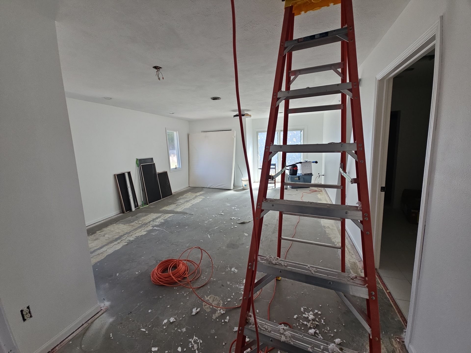 Fresh Carpet, New Comfort in Elwood by Loyal Nine