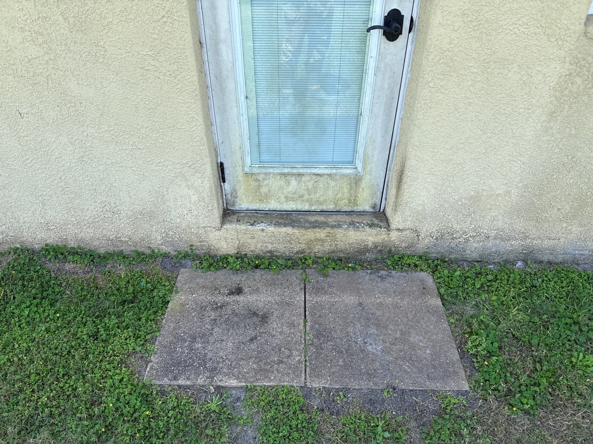 Driveway & Rear Wall Soft Wash | Lexington Community | Parrish, FL | Sunshine AquaWash by Sunshine AquaWash