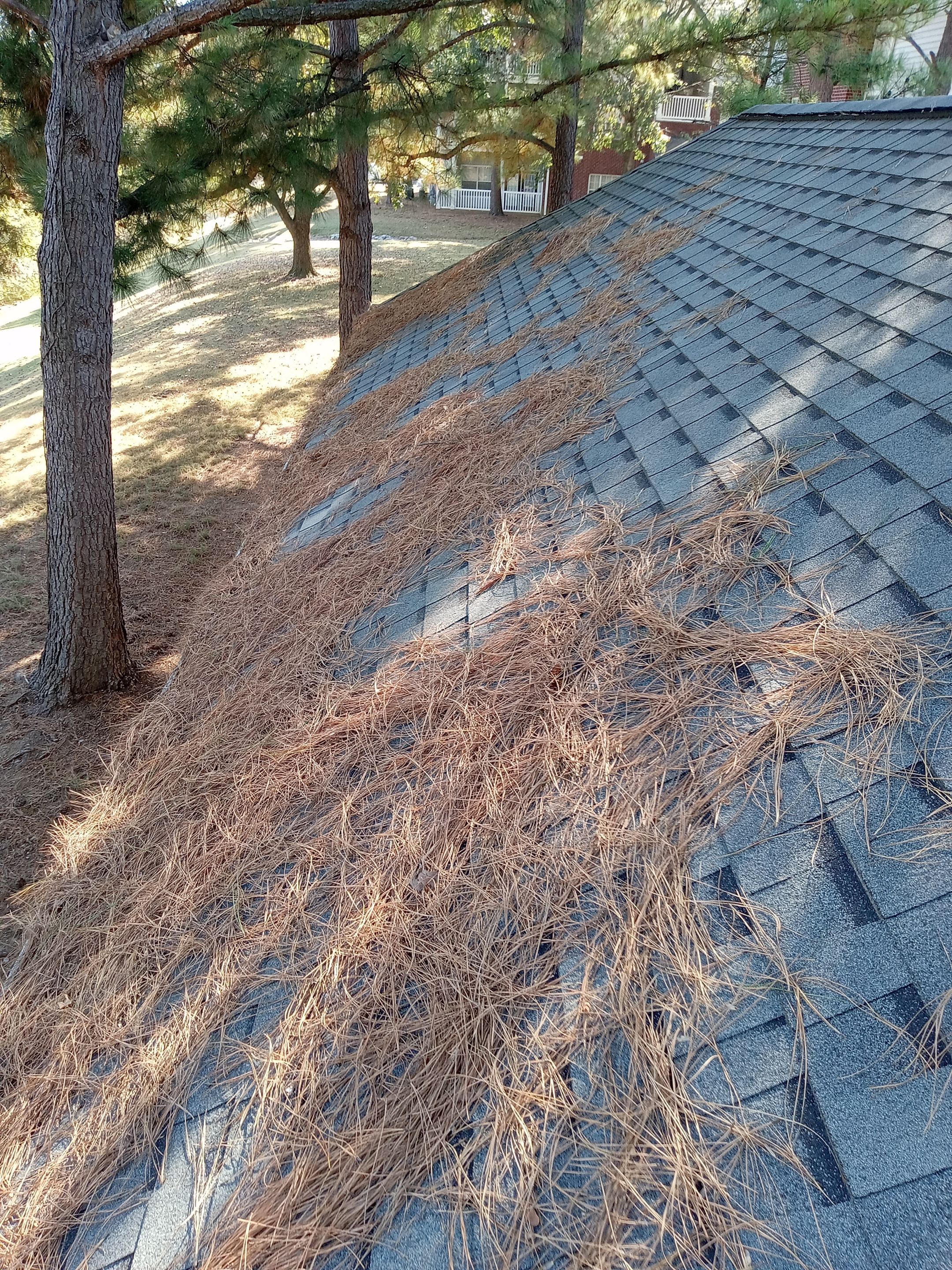 HOA gutter cleaning before photo.