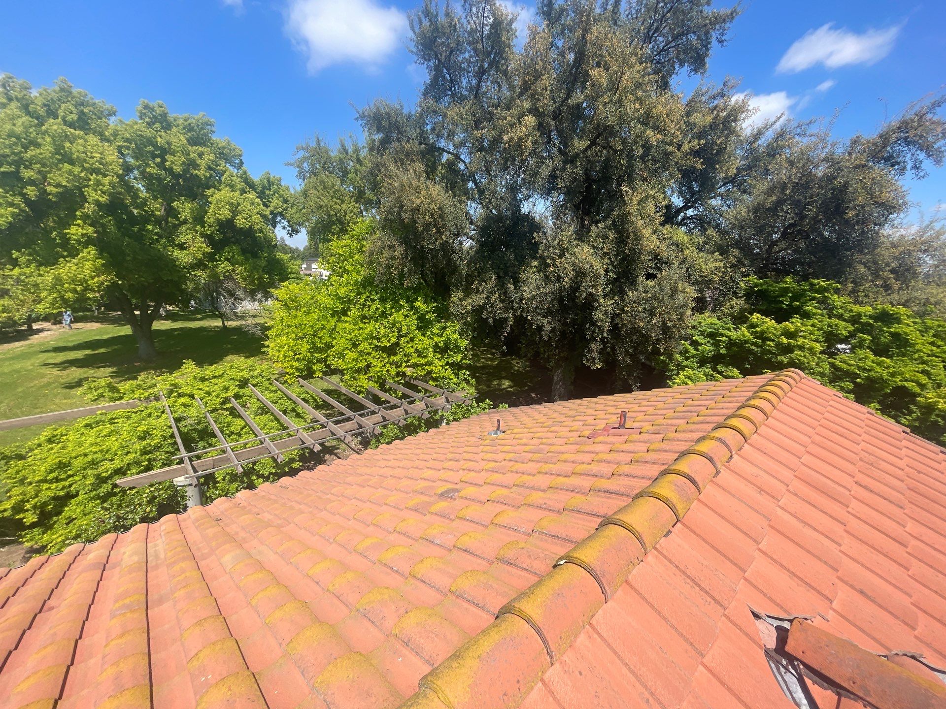 Presidential shingle roof by Straight Edge Roofing Inc